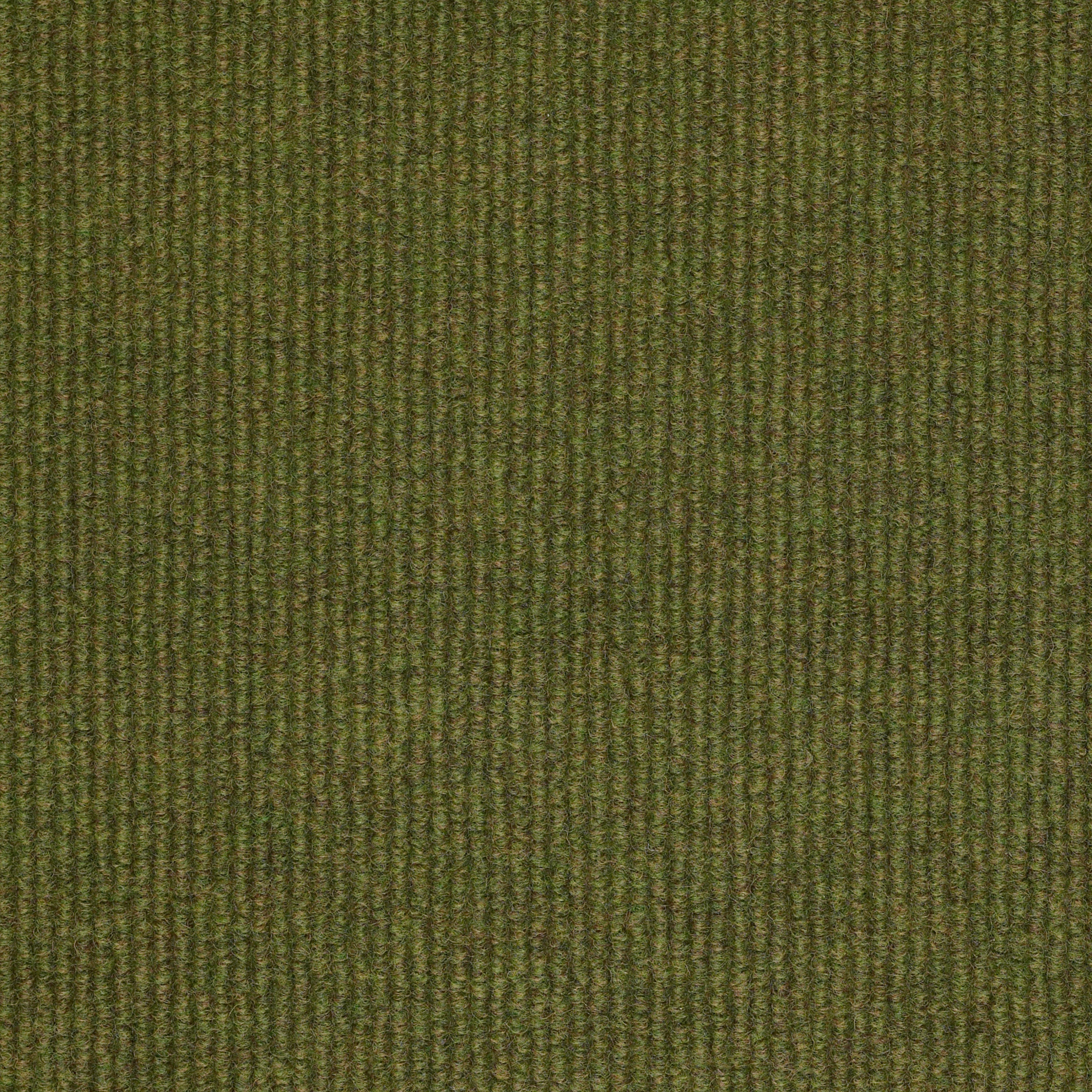 SUMMER STOCK 54691 OLIVE AMBER 00300 main image