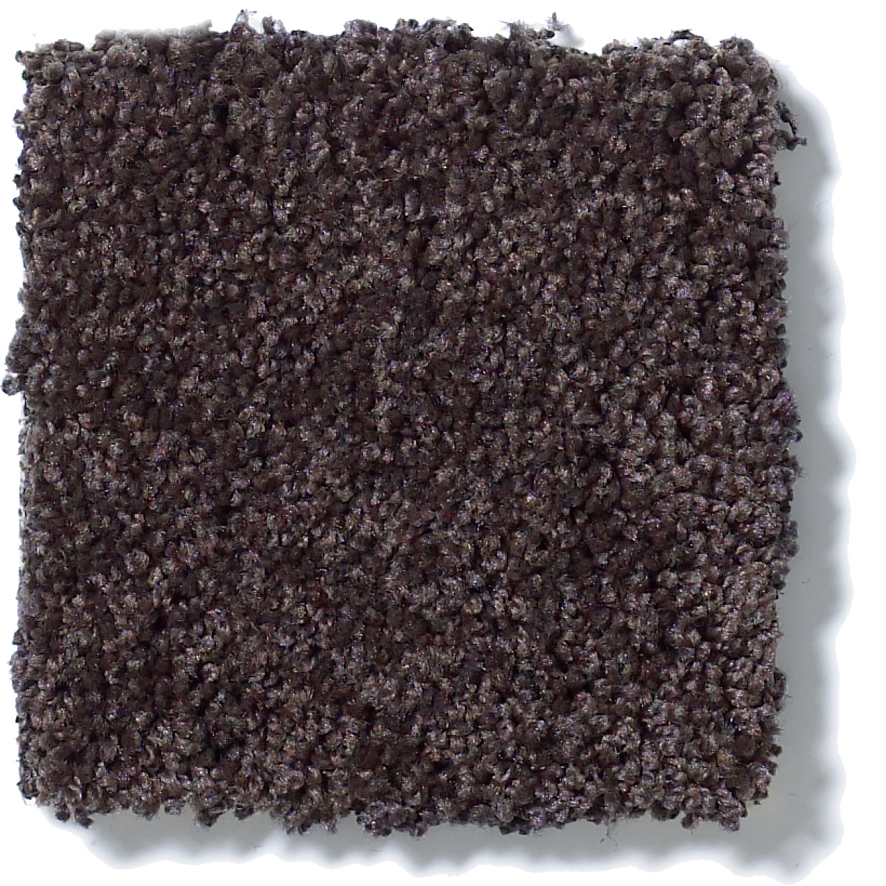 INSPIRED BY II URBAN LOFT SWATCH