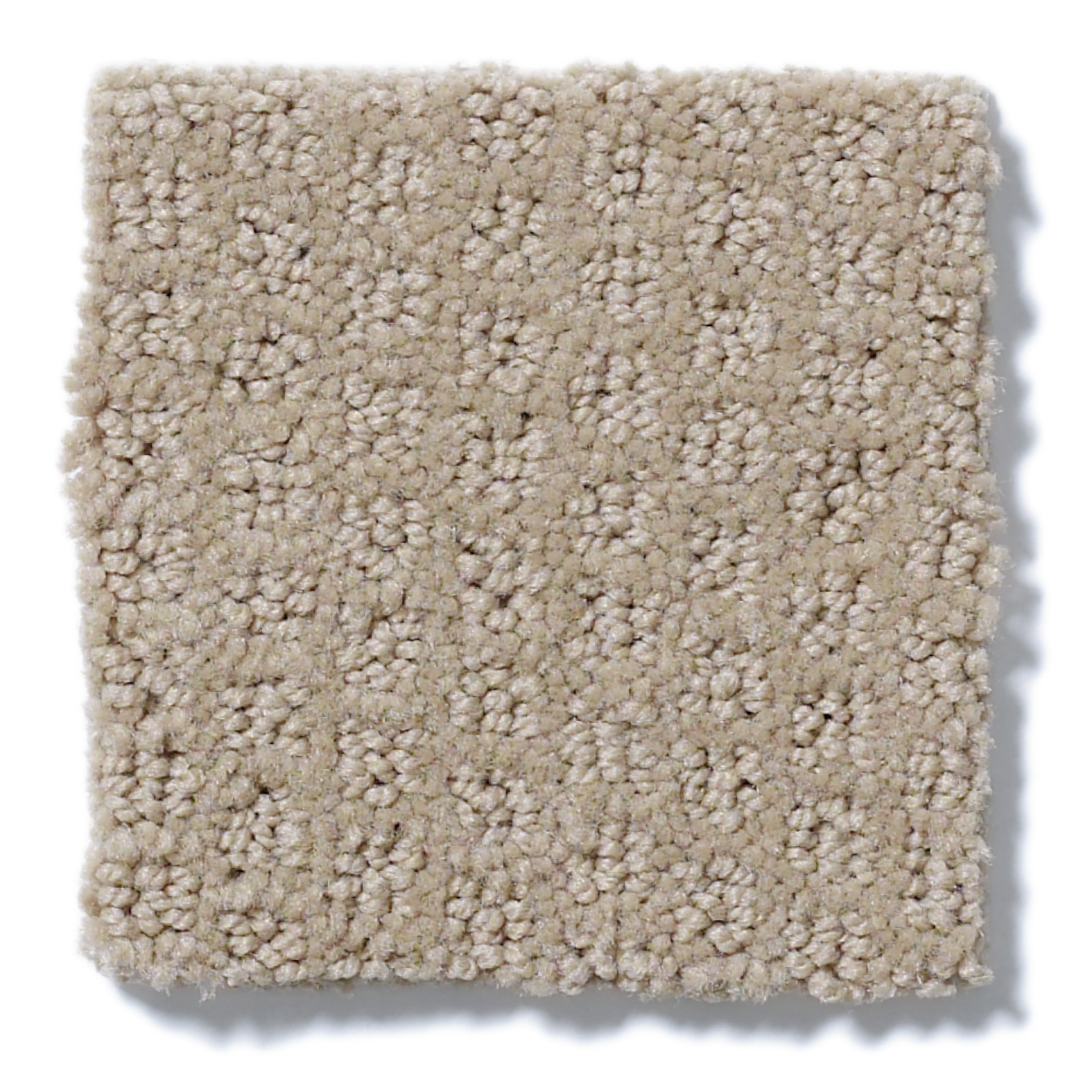 GAINEY RANCH HIKING TRAIL SWATCH