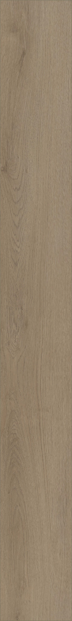 STARTING LINE DRIFTWOOD TAUPE 1TO1