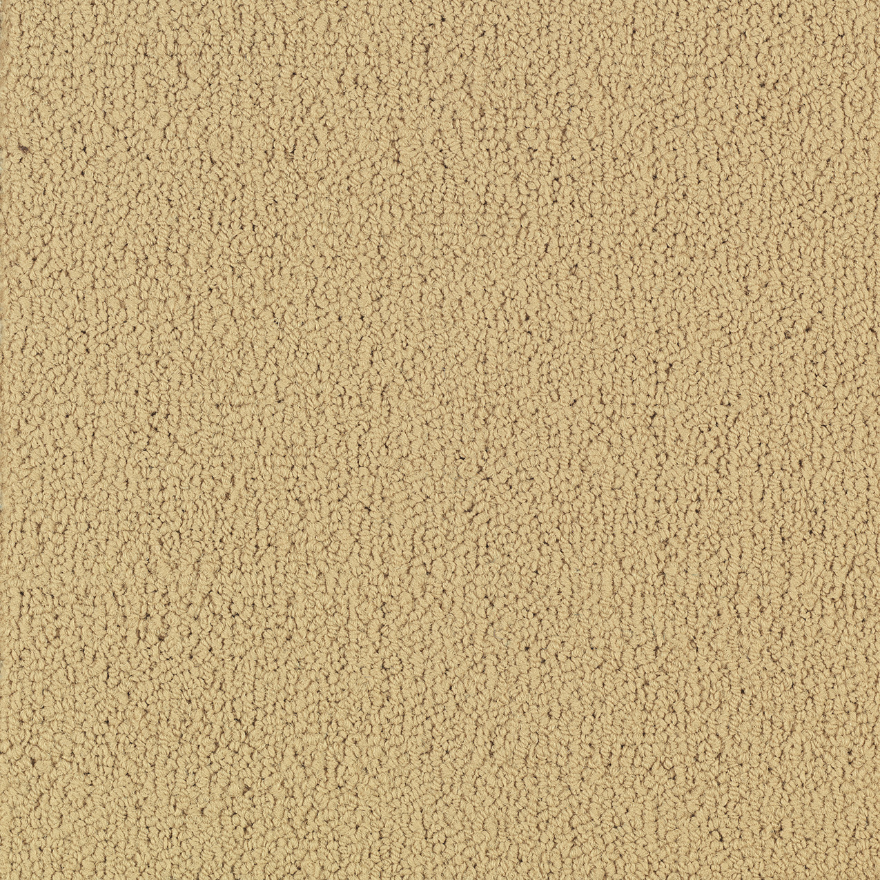 COLOR-ACCENTS-54462-FLAX-62122-main-image