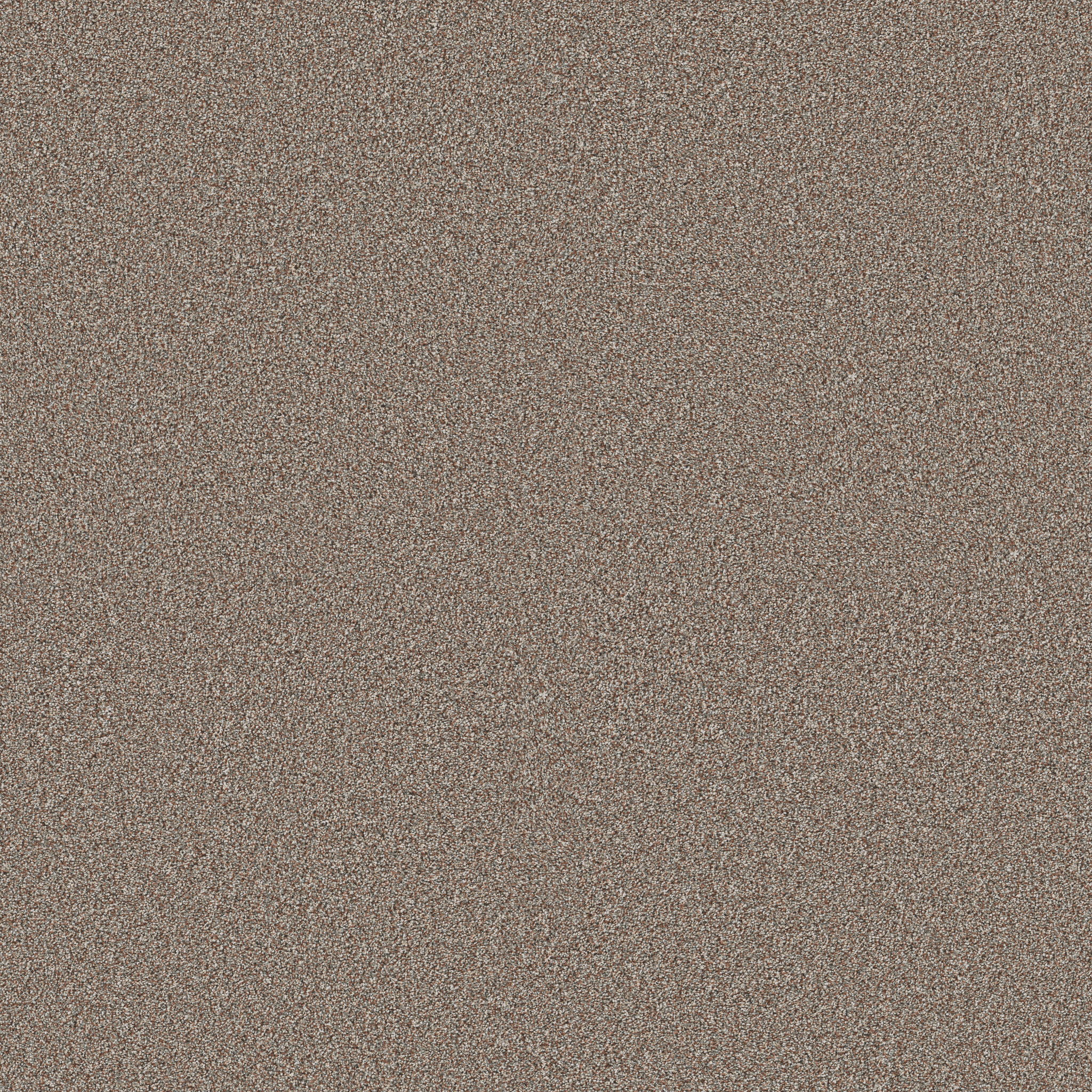 TIMELESS TONE WARM SUNSET MAIN