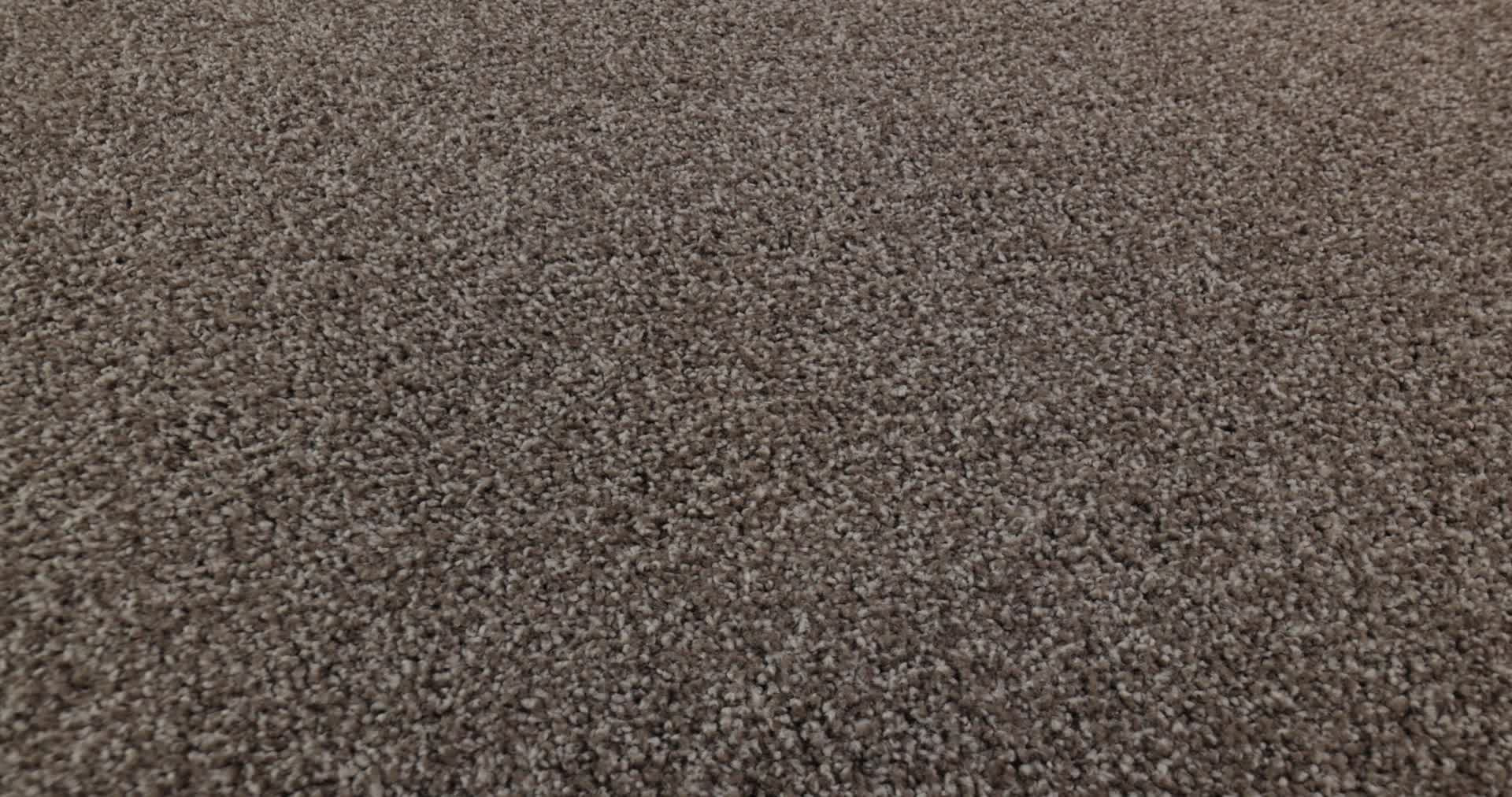 LUCKY YOU MOCCASIN 360PROD