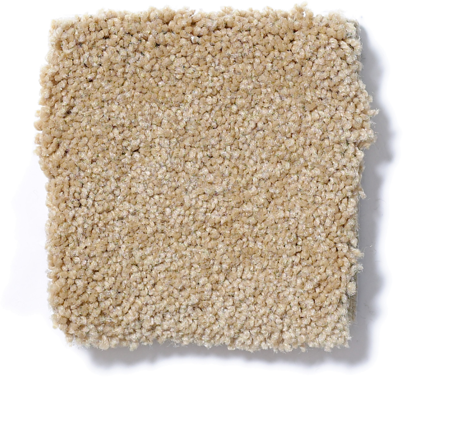 SHINGLE CREEK IV 12' CORNFIELD SWATCH