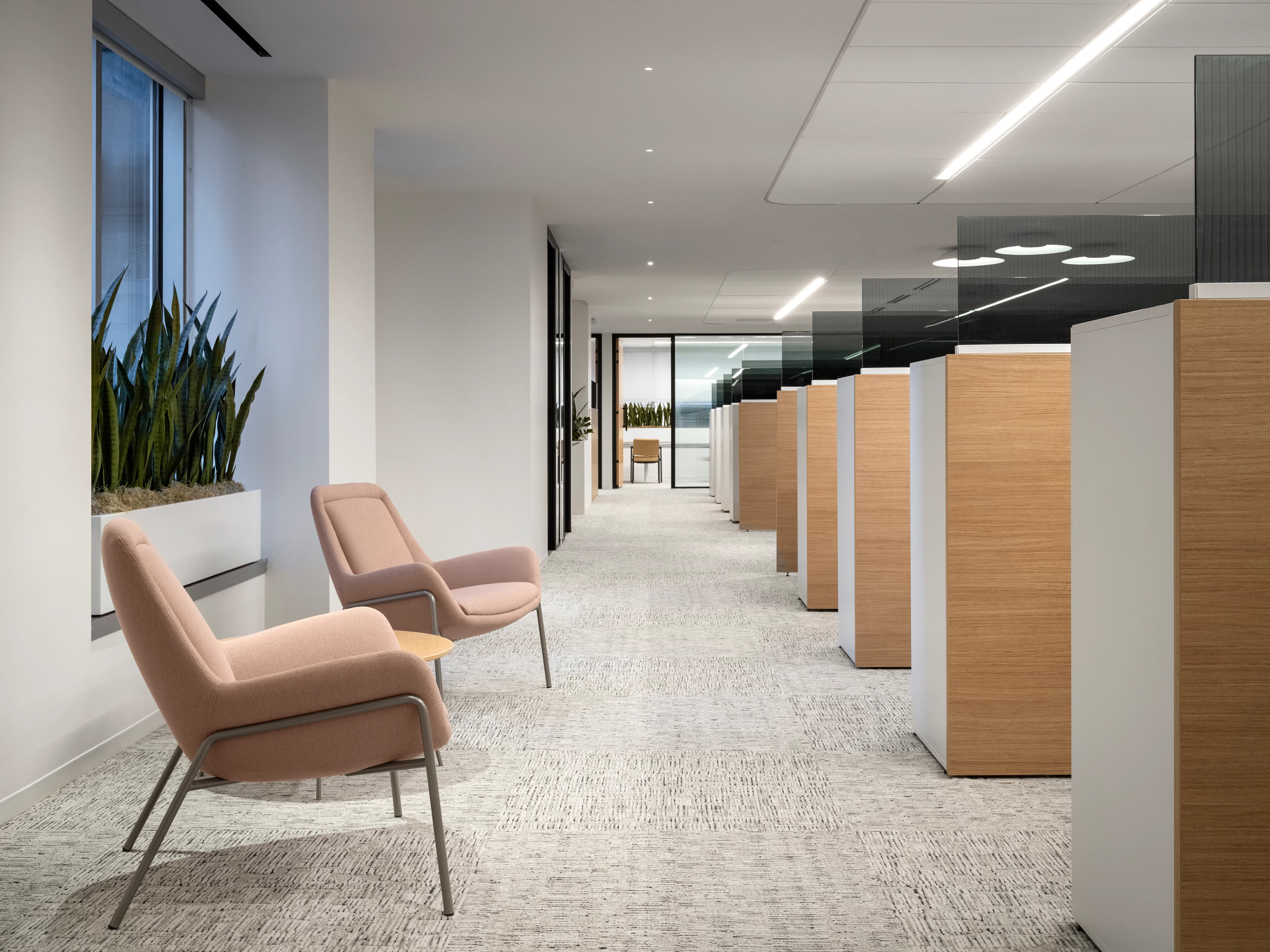 Modern workplace with commercial carpet tile flooring in 18x36 inch dimensions, featuring light gray tones and sleek office cubicles