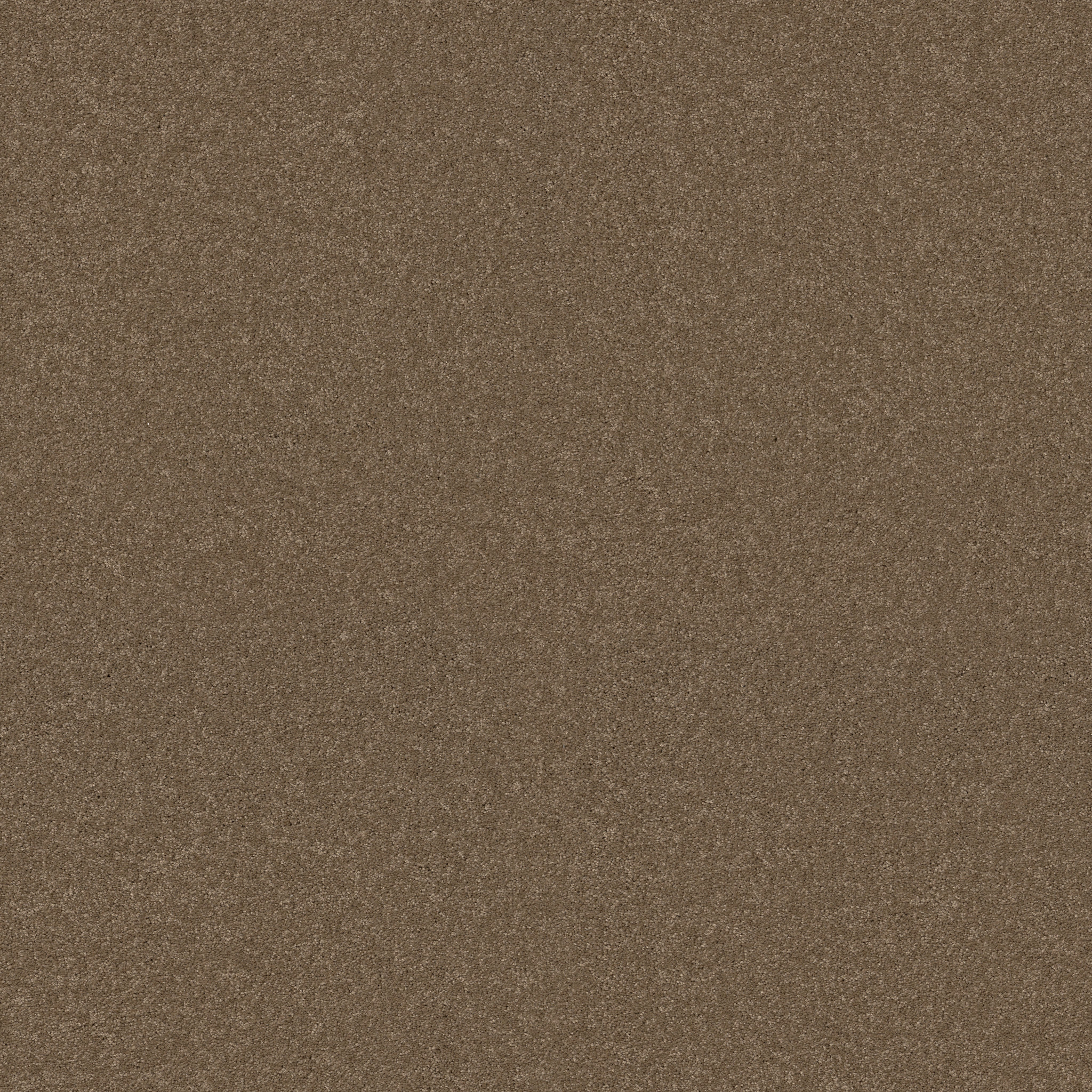 FANTASTICAL ACORN MAIN