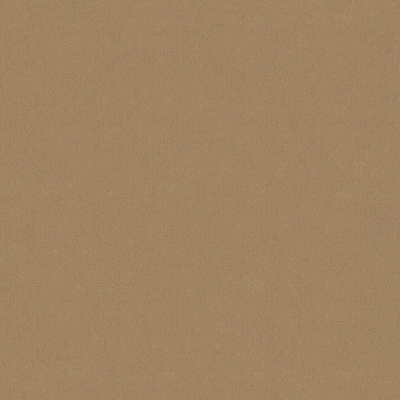 Emphatic 30 Broadloom Carpet in Artisan Brown, 100% Nylon, 12ft width, Cut Pile Solid construction