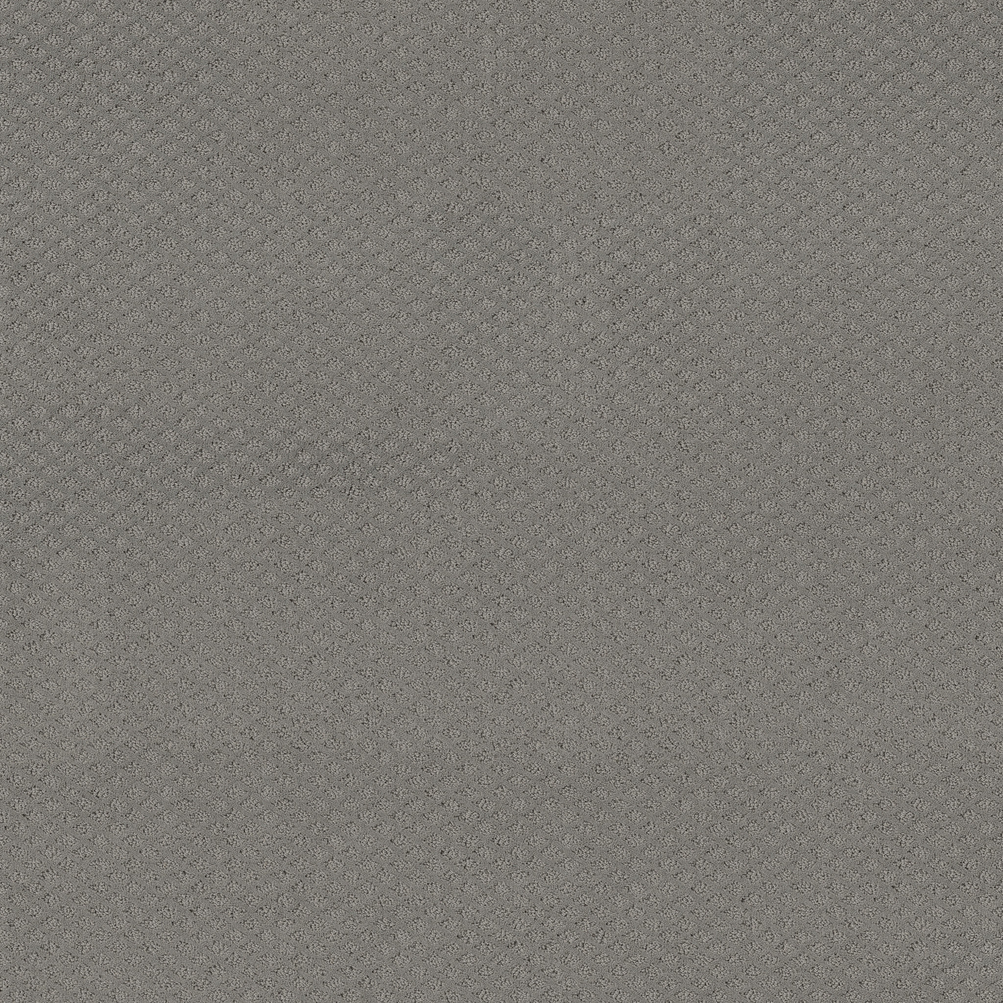 FORMALIZE GREY FOX MAIN