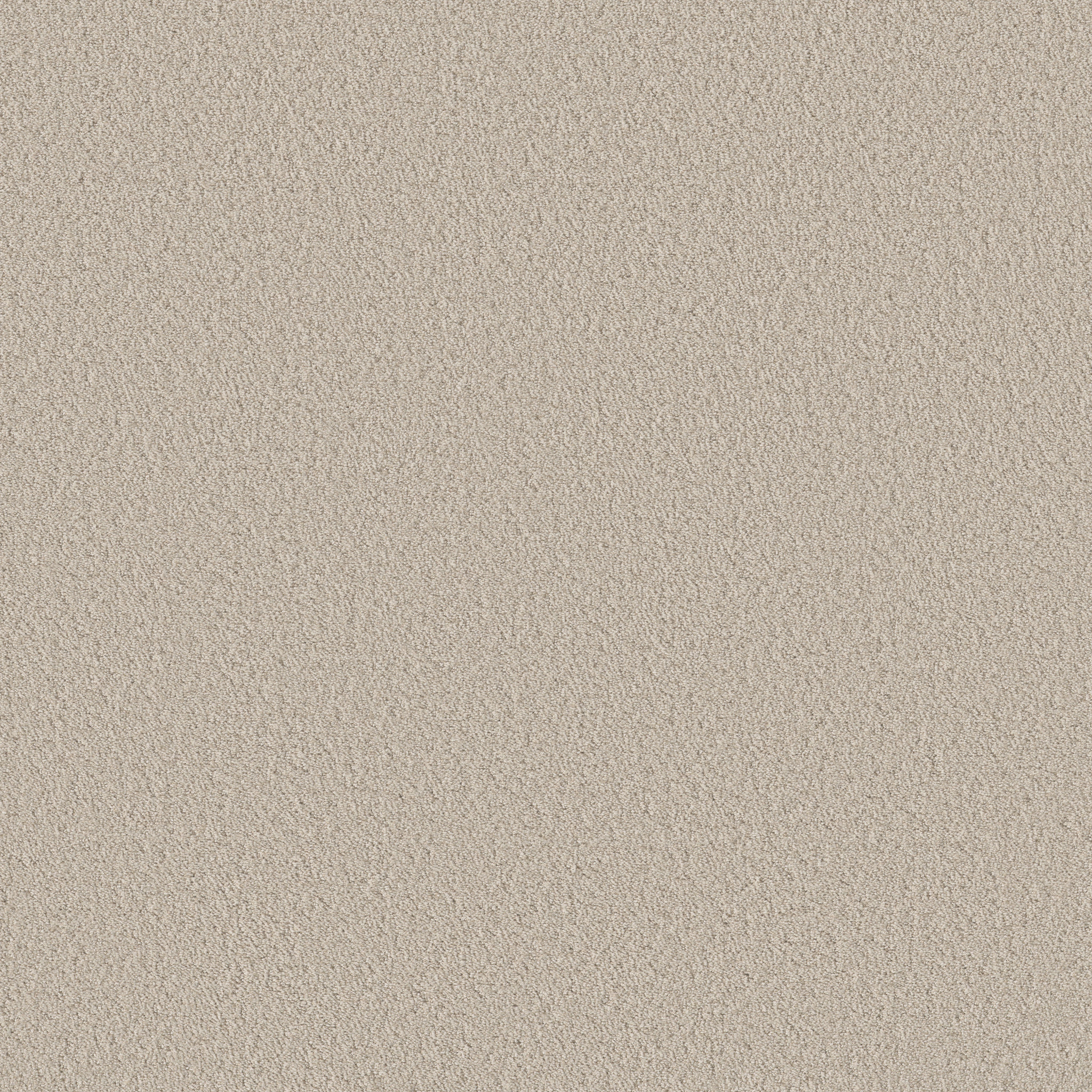 AERIAL VIEW CANVAS MAIN