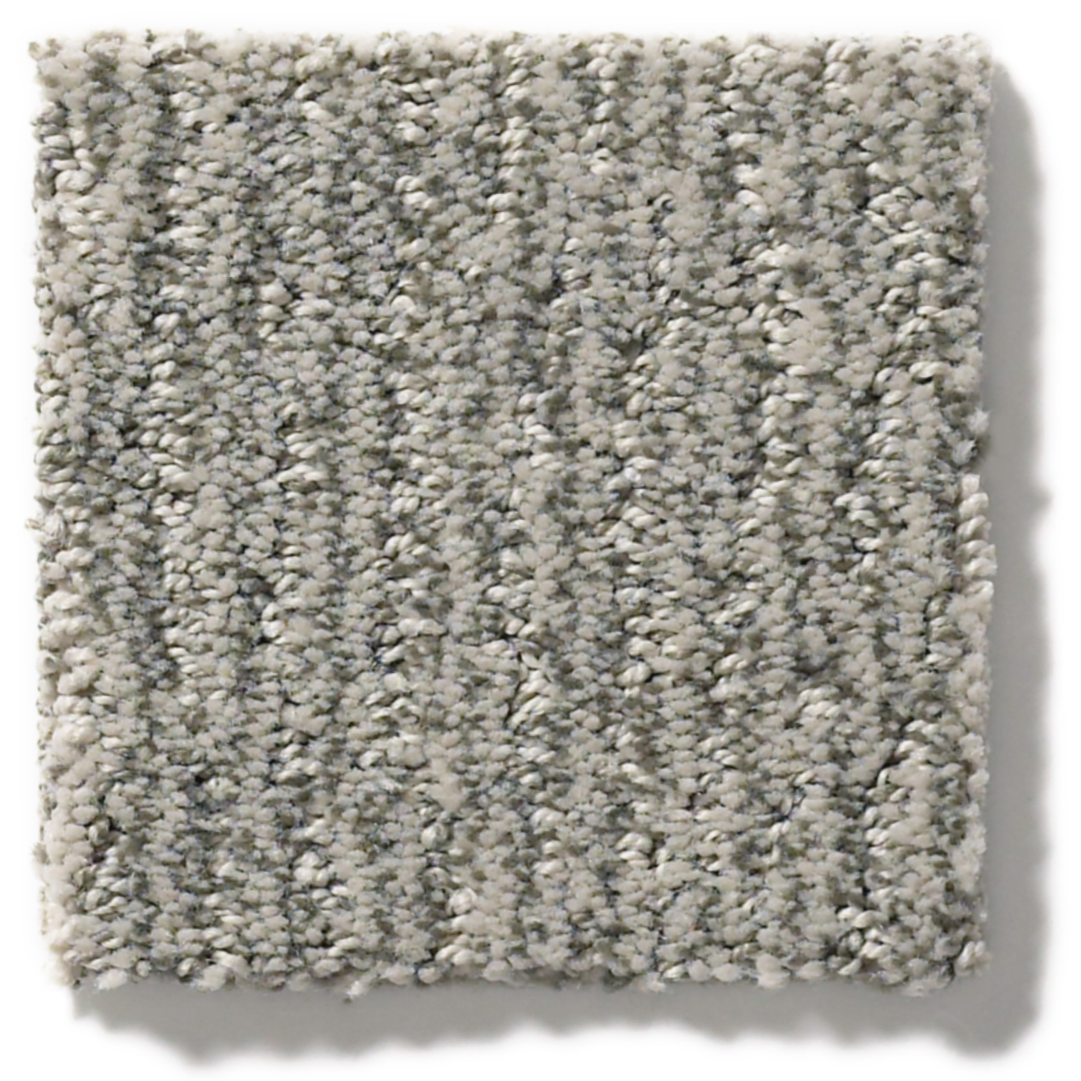 FUR-EVER ROCKPORT SWATCH