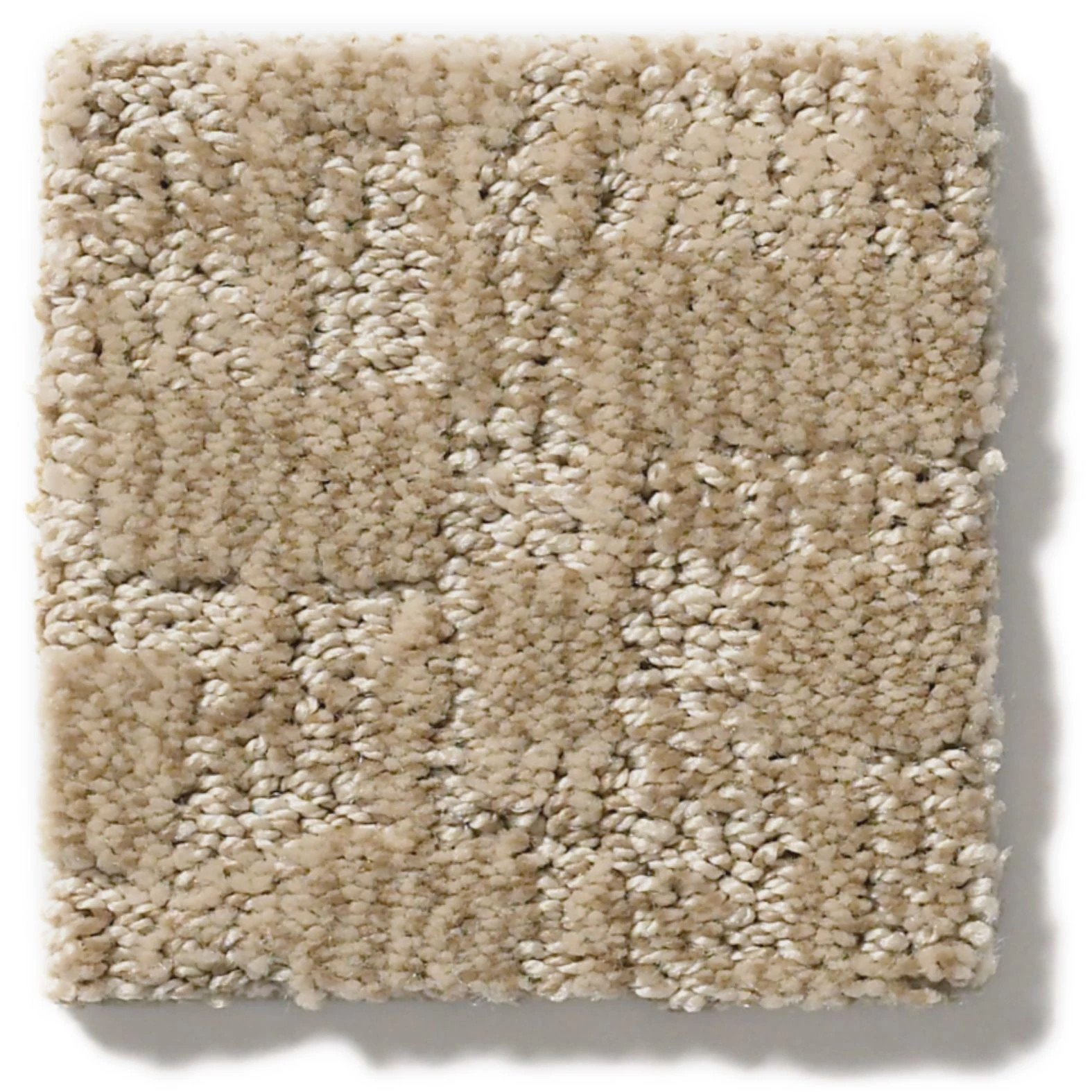 PAW-TAY MYSTIC SWATCH