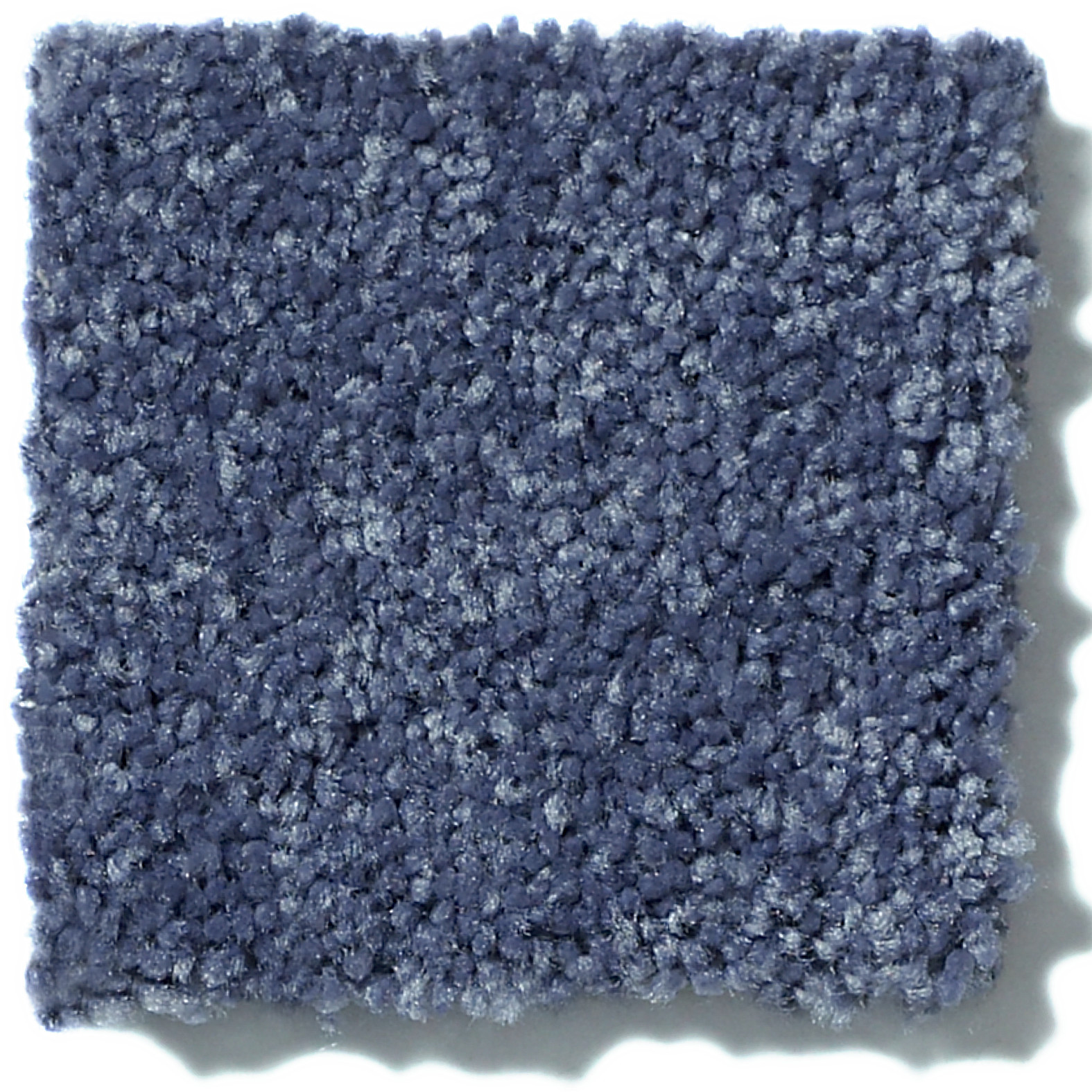 TAKE PART 12 STEEL SWATCH