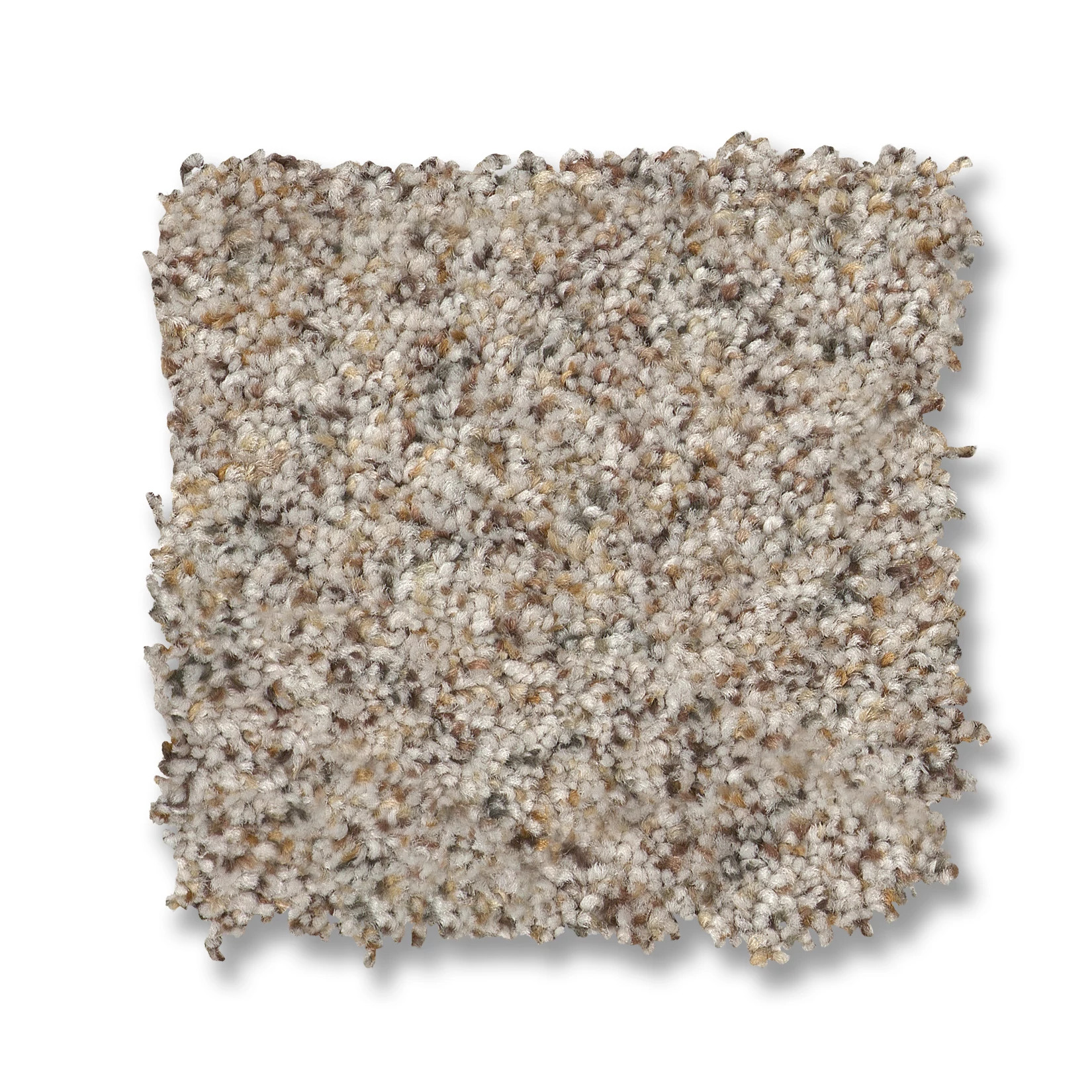 Topanga Canyon ECLIPSE SWATCH