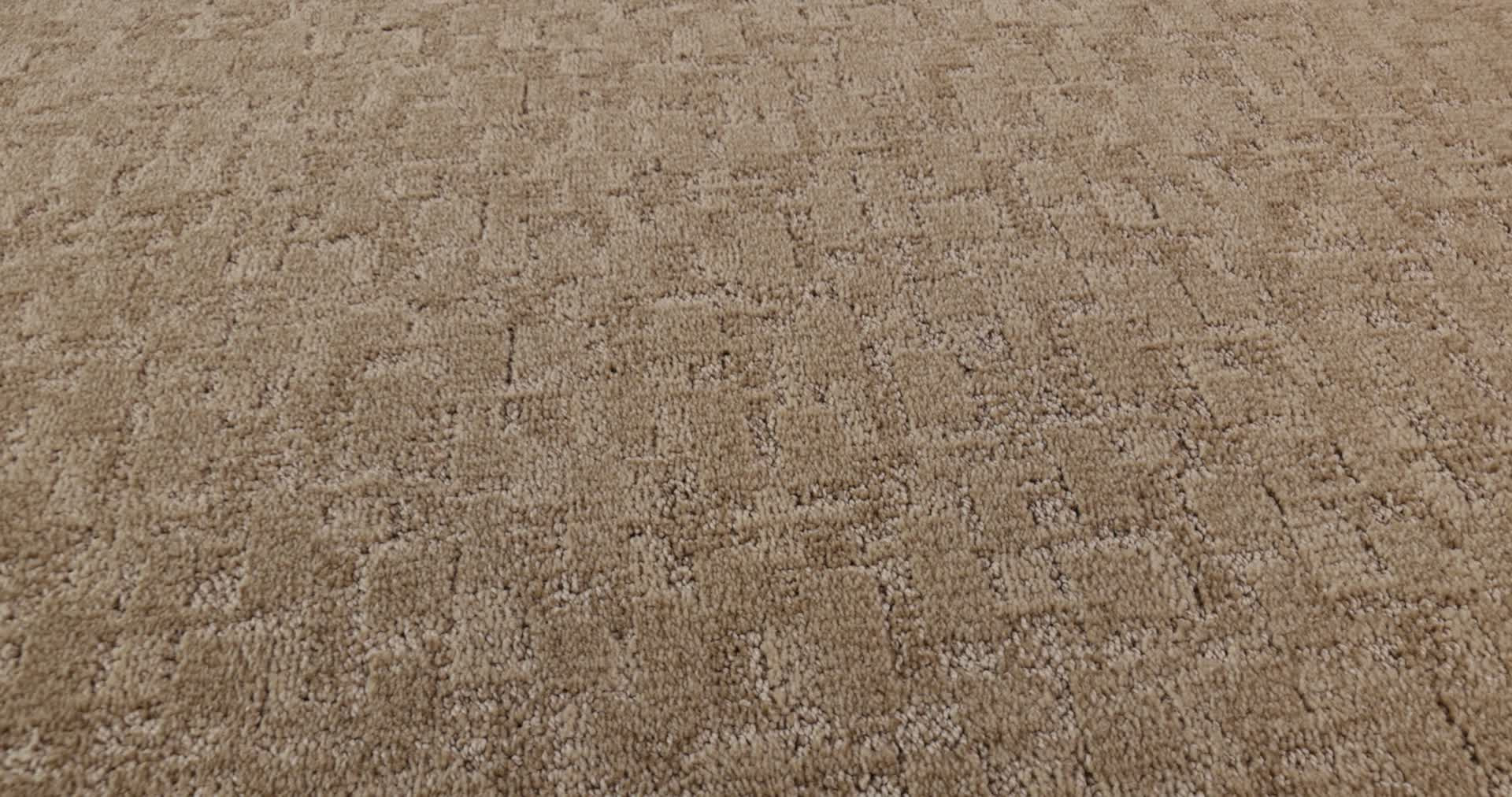 PAW-TAY MYSTIC 360PROD