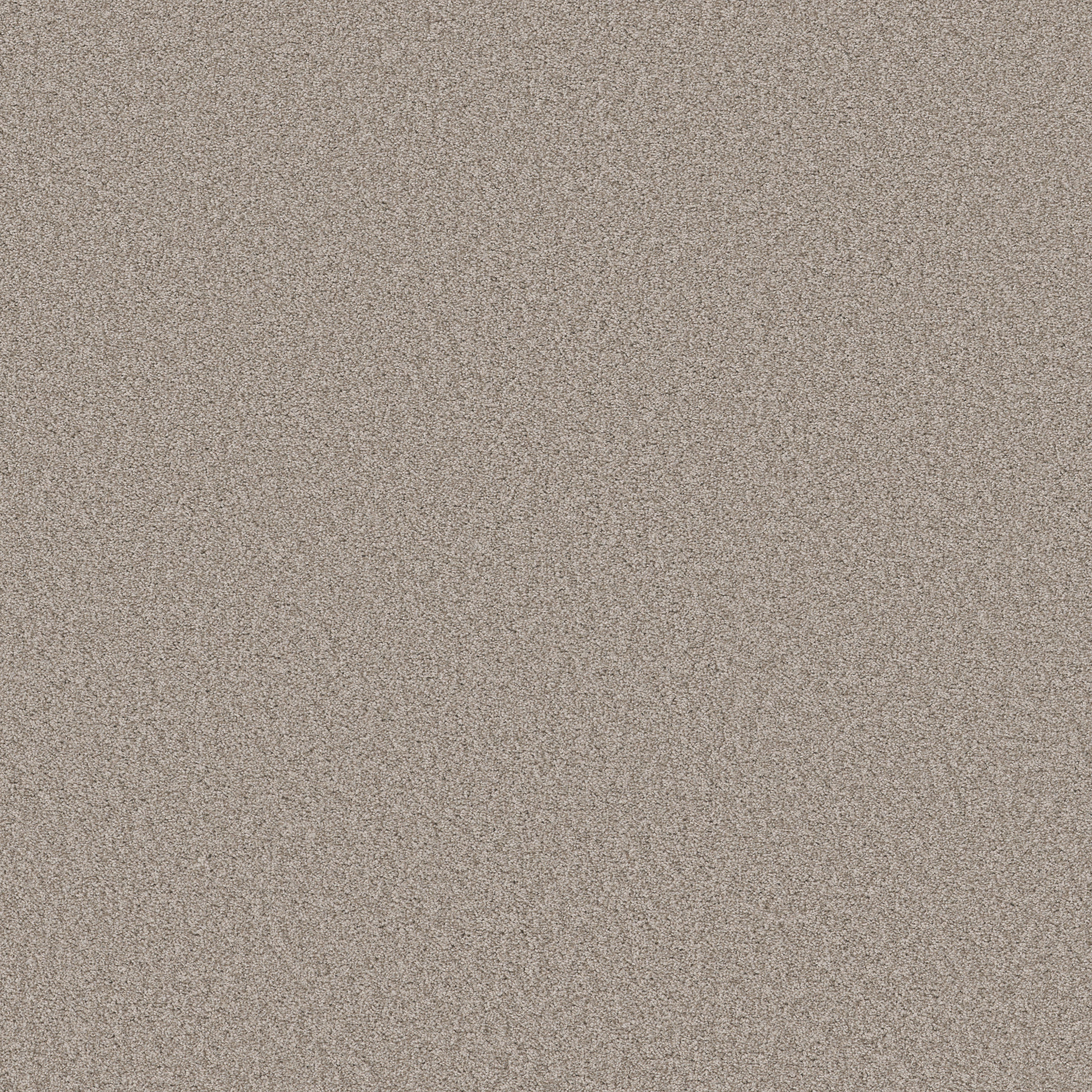 HARMONIOUS I FOSSIL PATH MAIN