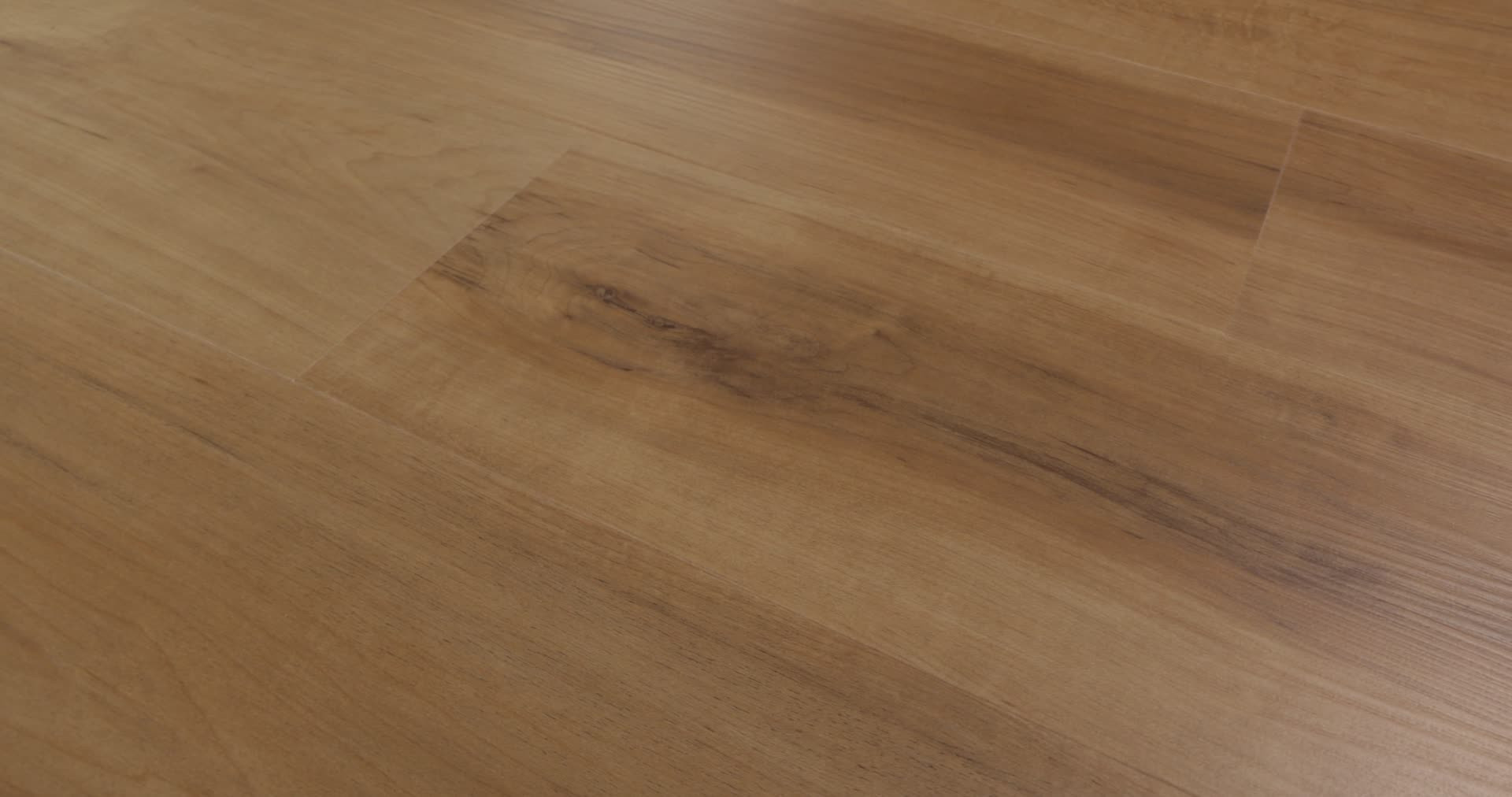 MALTESE DUSTED MAPLE 360PROD