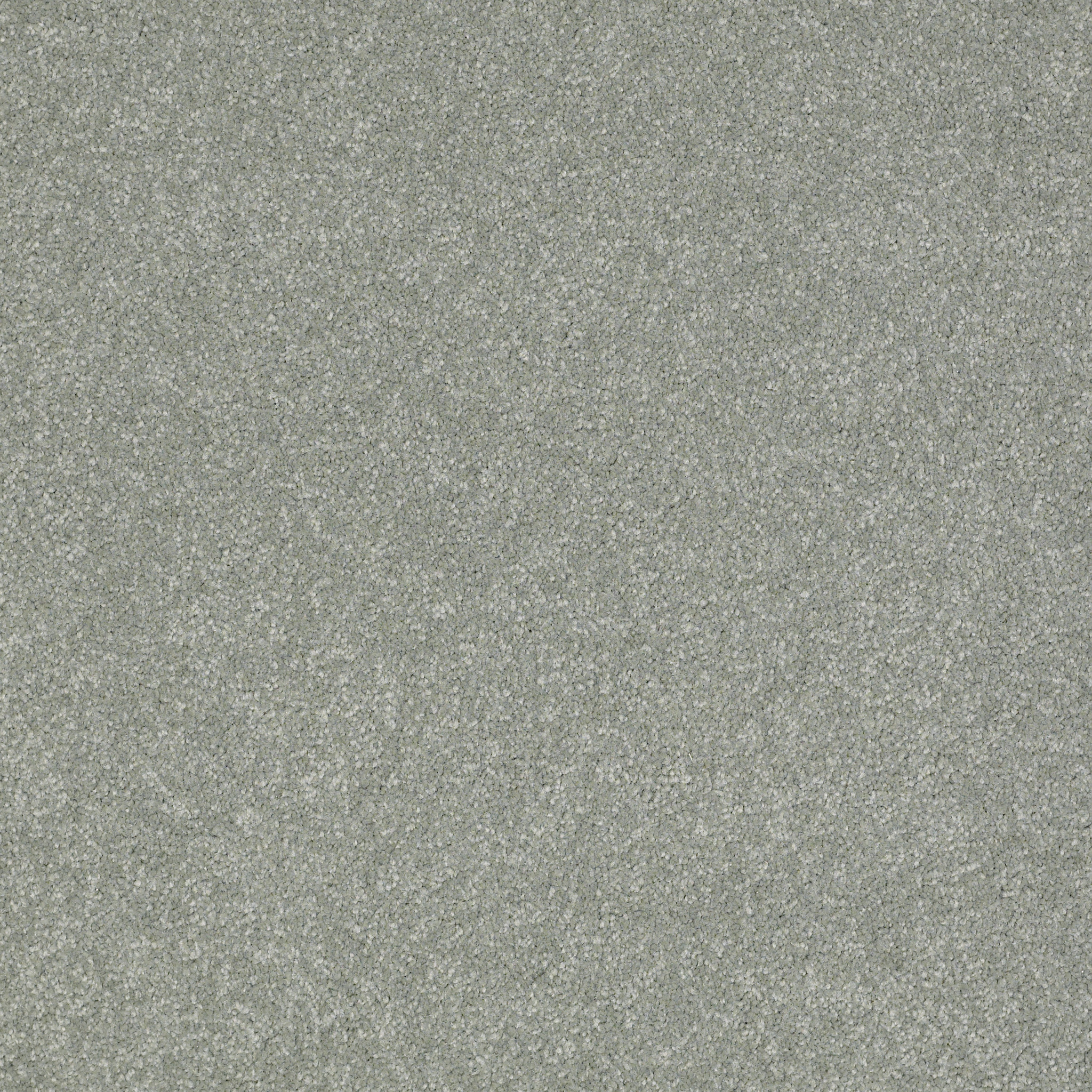 SHINGLE CREEK IV 12' TROPICAL SURF MAIN