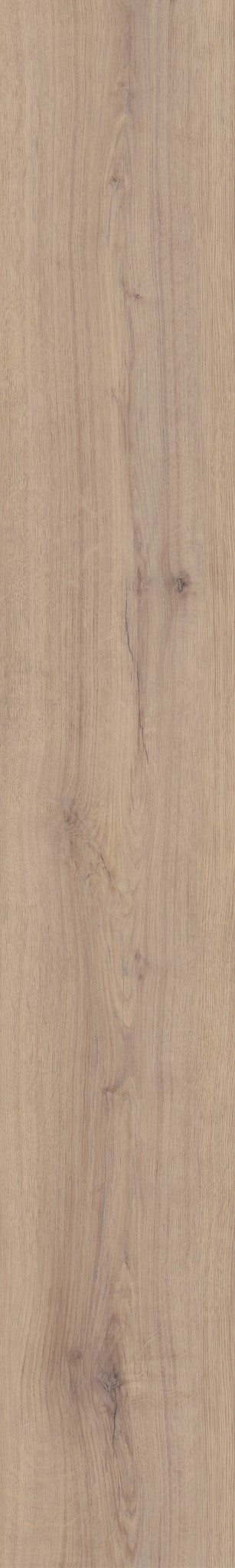 BRIARD FEATHERED OAK 1TO1