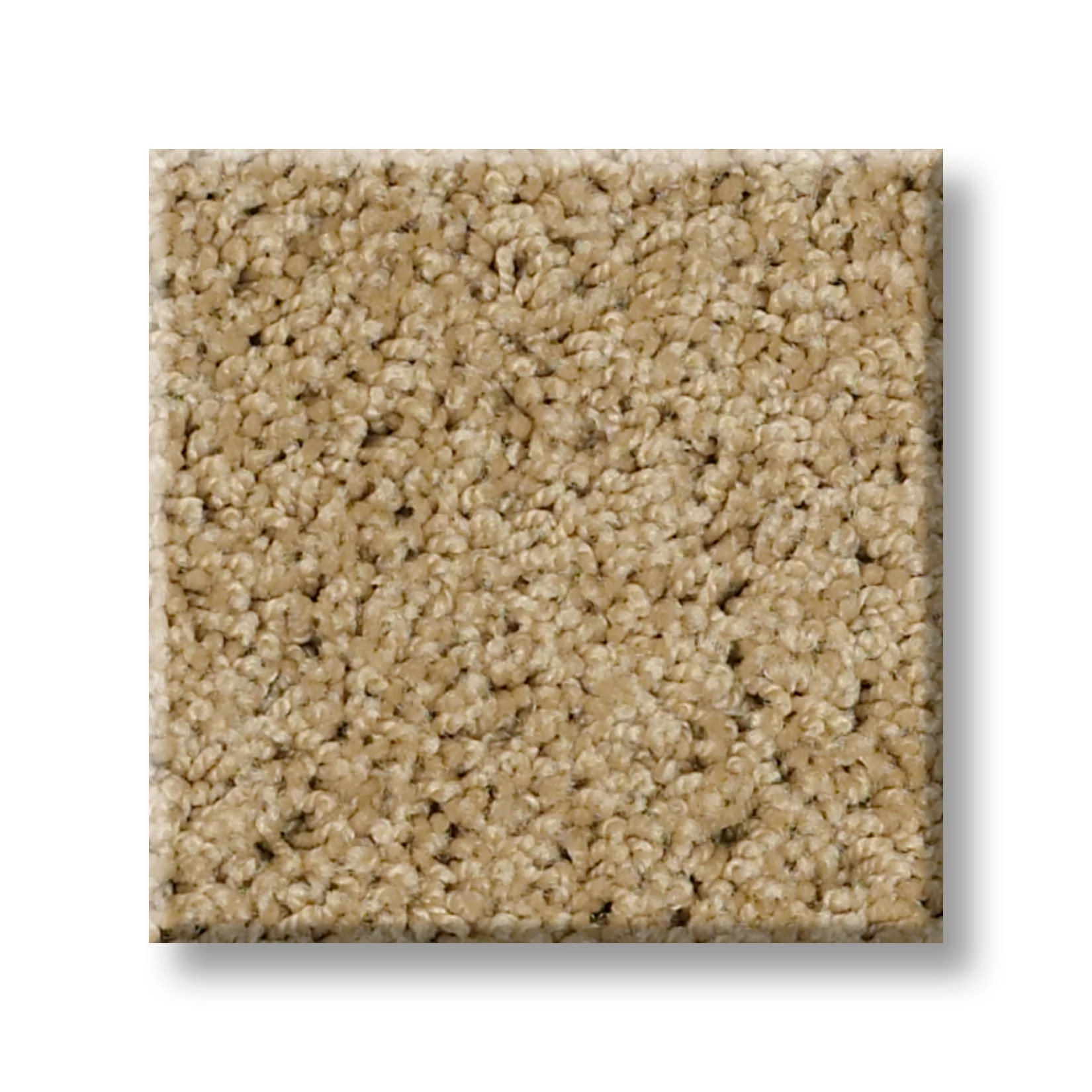 AG TIMELESS BISCUIT SWATCH