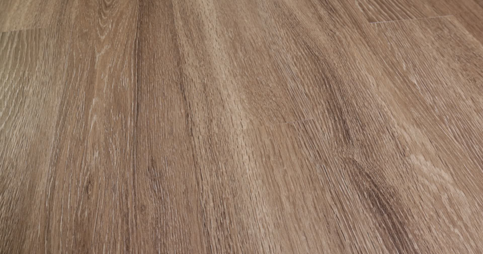 WORLD'S FAIR 6 II BRUSSELS 360PROD