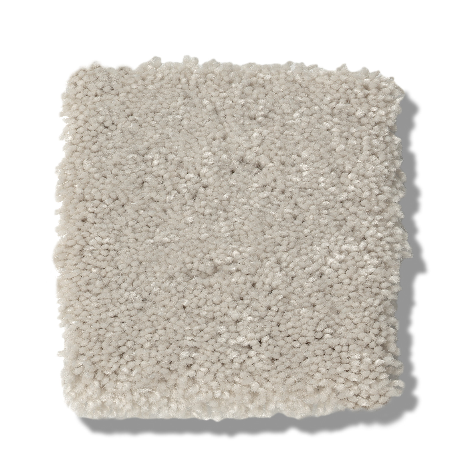 SOLIDIFY II 15' MINIMALIST SWATCH