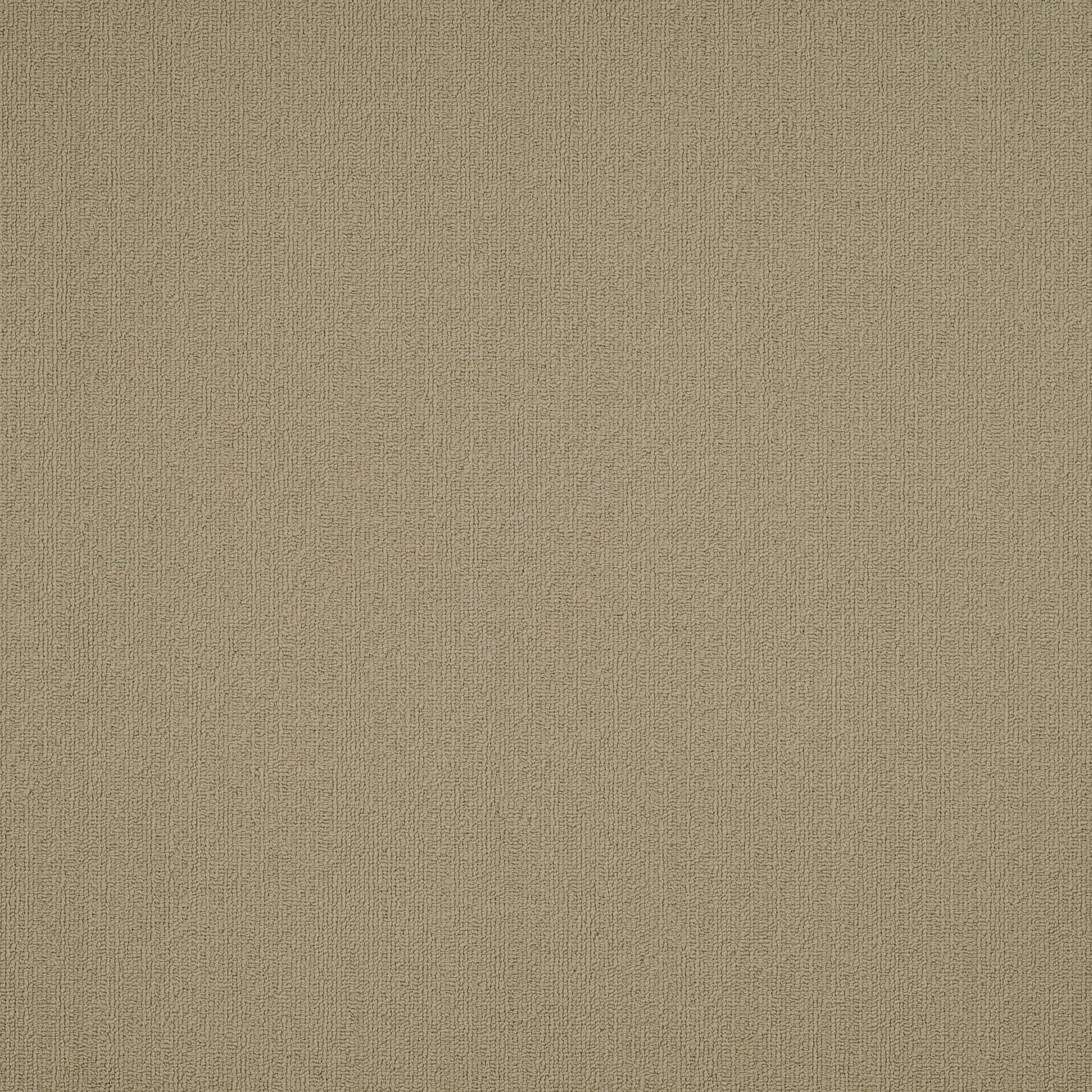 COLOR-ACCENTS-54462-LICHEN-62544-main-image