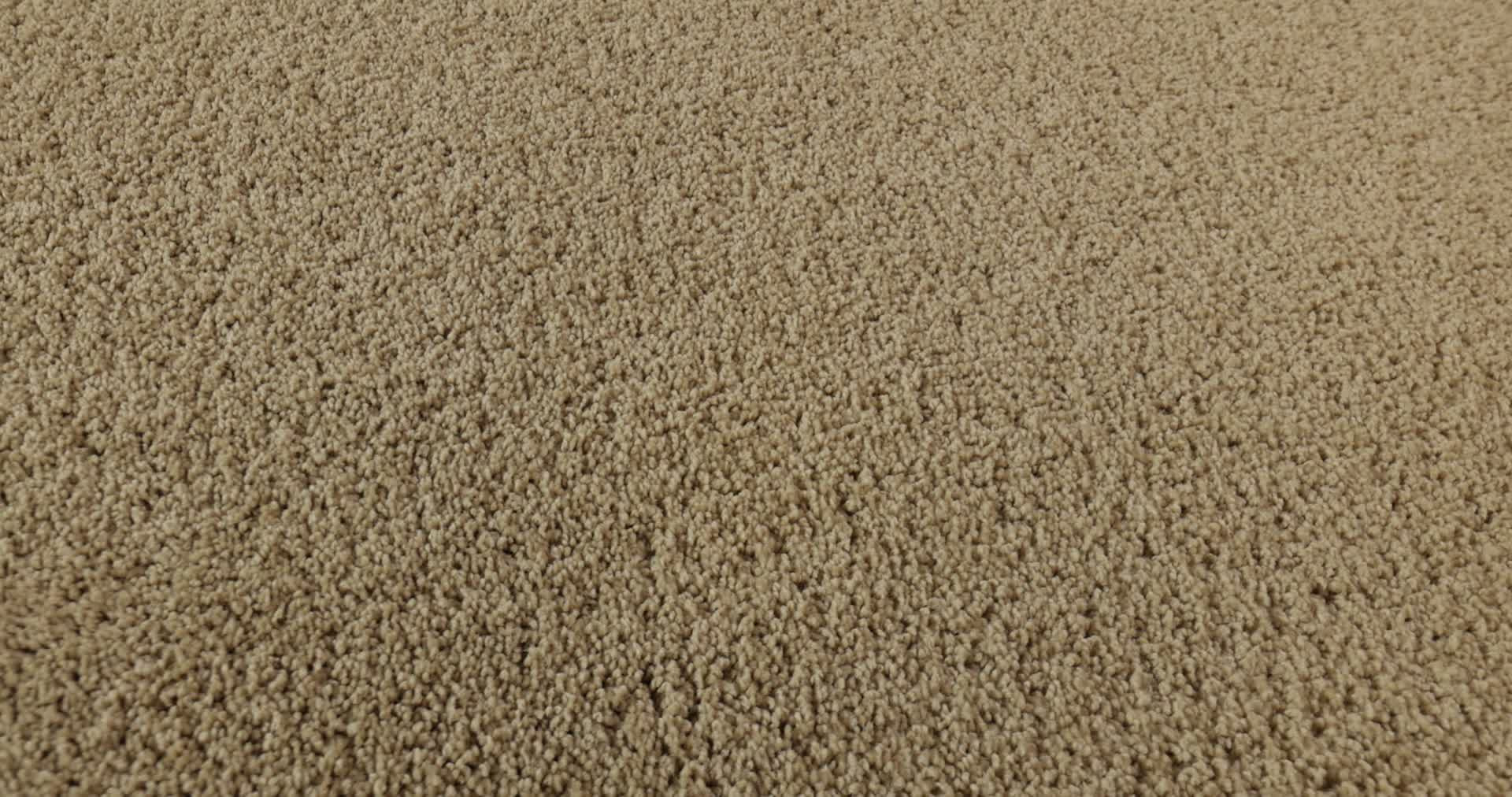 MY CHOICE I TAFFETA 360PROD