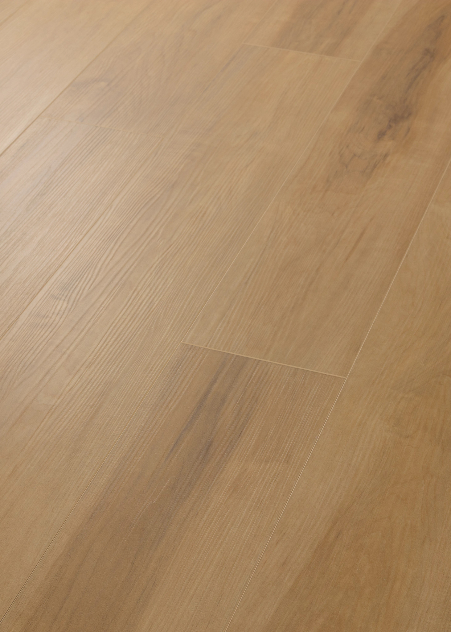 MALTESE DUSTED MAPLE ANGLED