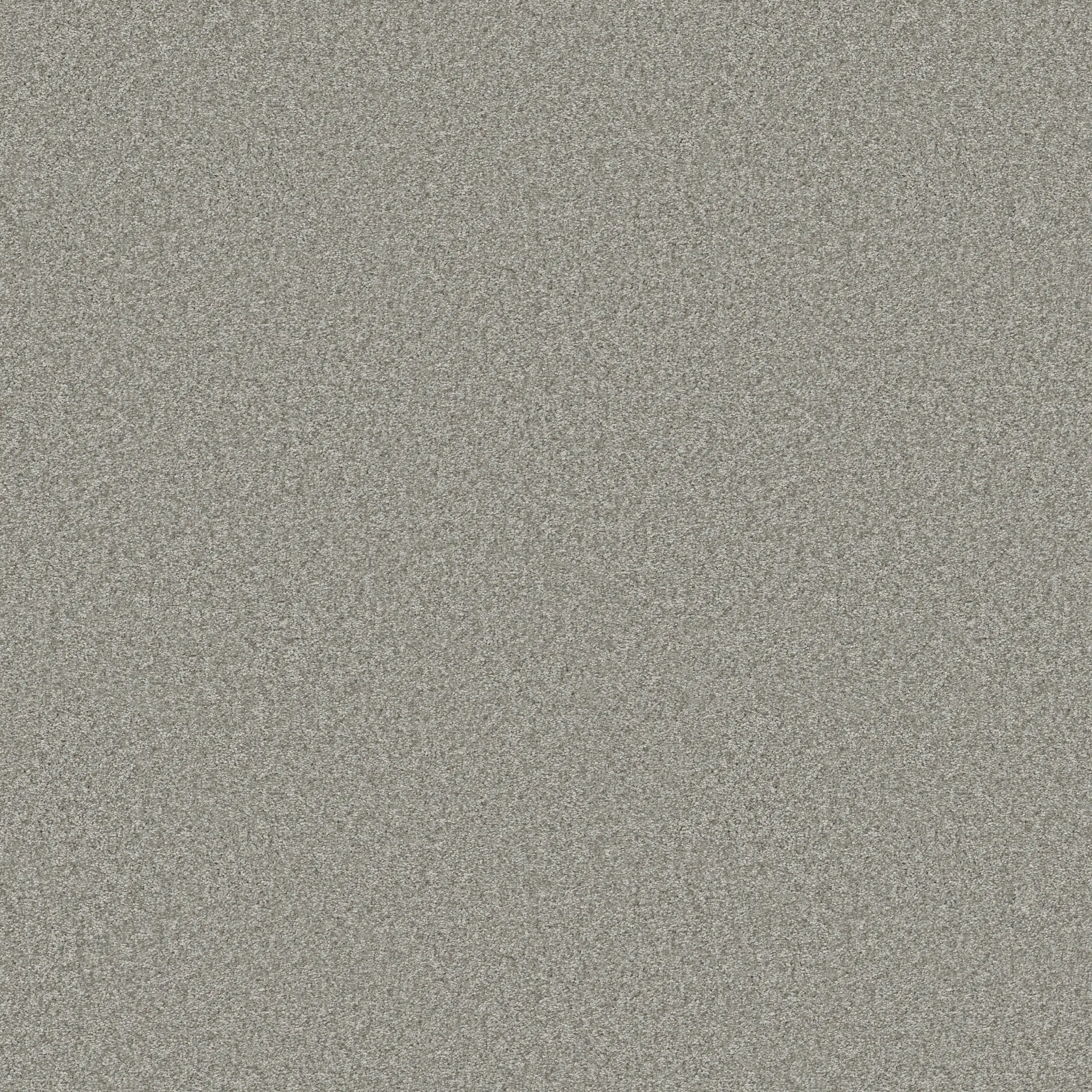 Light gray carpet swatch showcasing a textured surface ideal for everyday comfort and easy maintenance