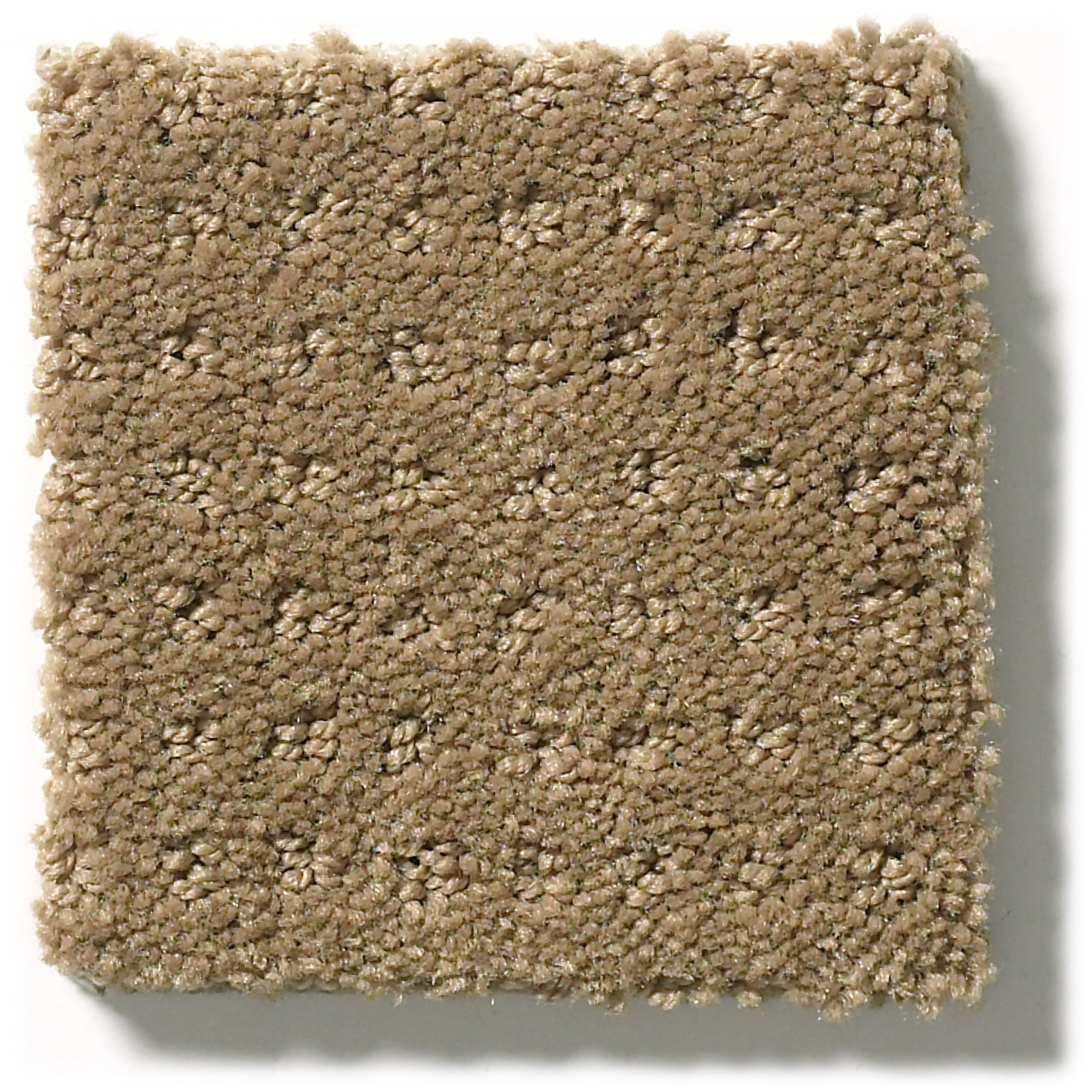 MY INSPIRATION PATTERN CAPPUCCINO SWATCH