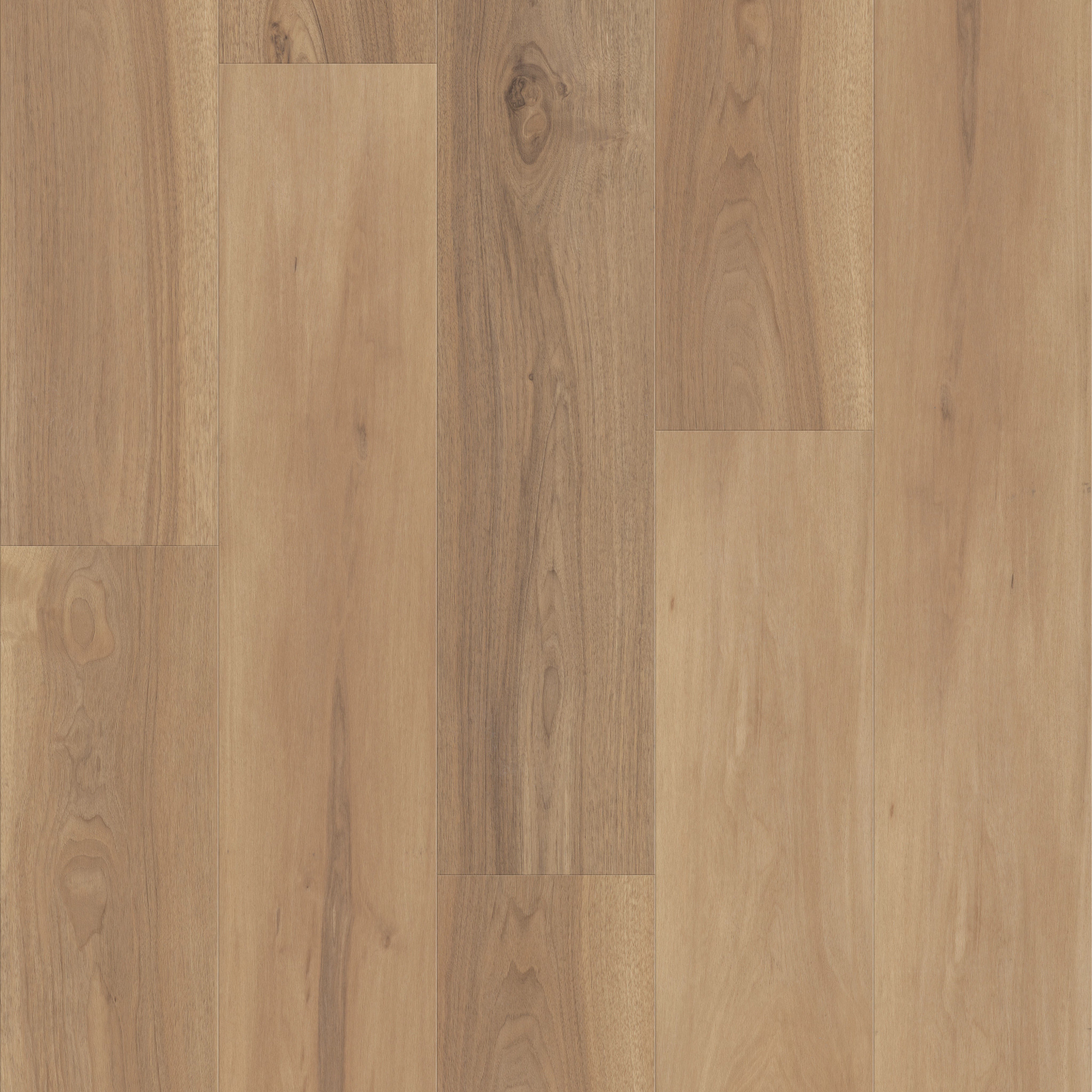 スカイオーシャン Fresh Take - in Chaise Tan | Shaw Floors