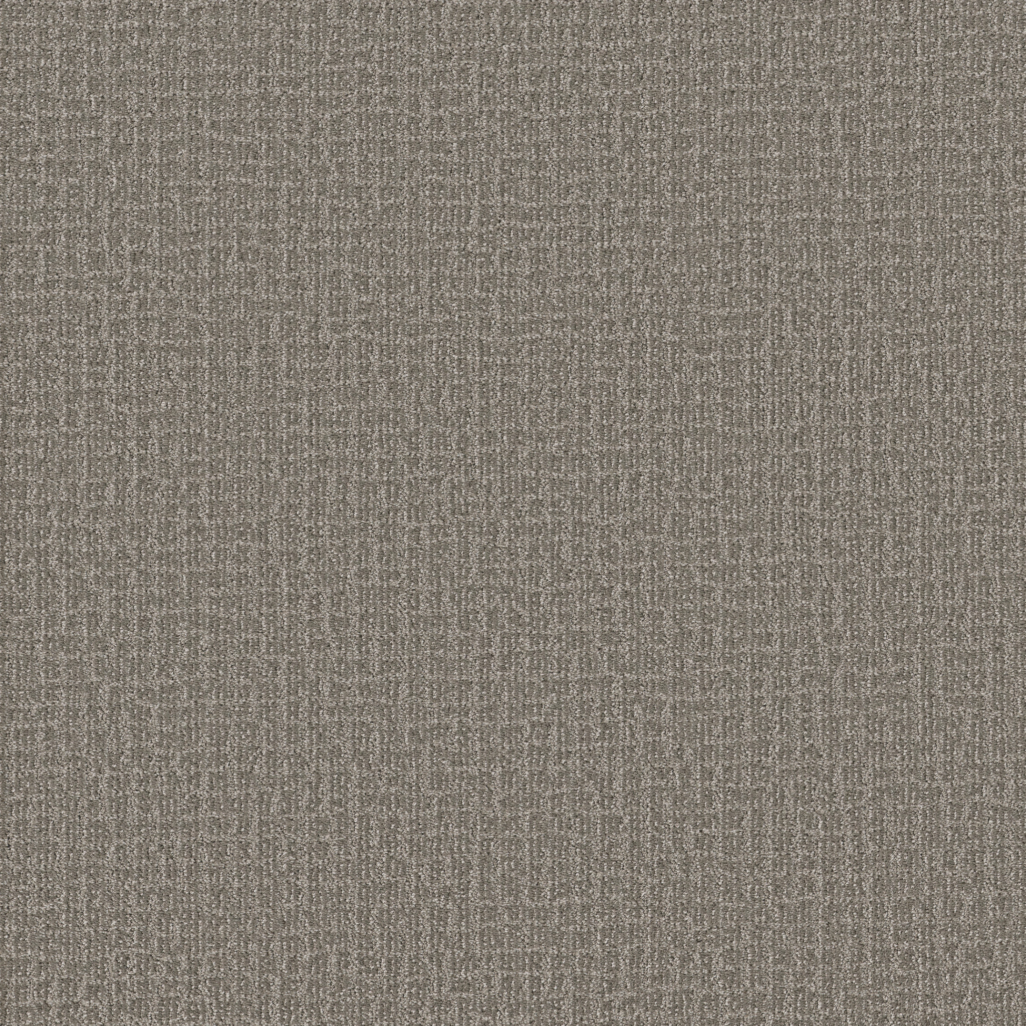 PATH HOME RIVER BIRCH MAIN