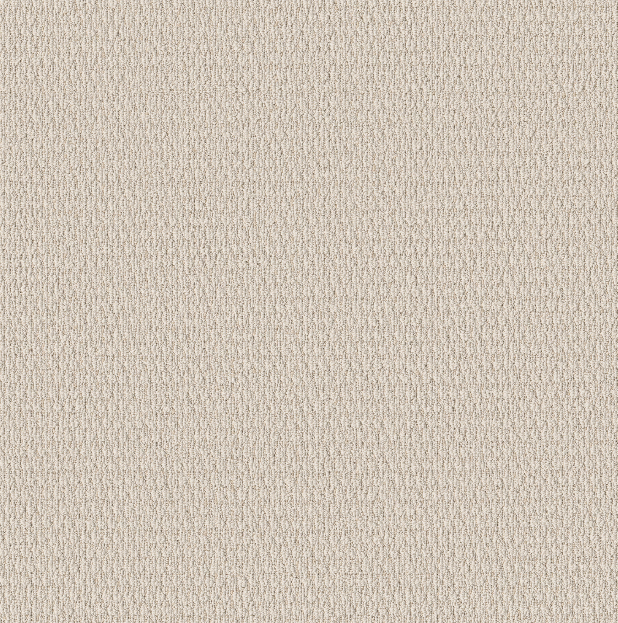 COZY EMBRACE IVORY MAIN