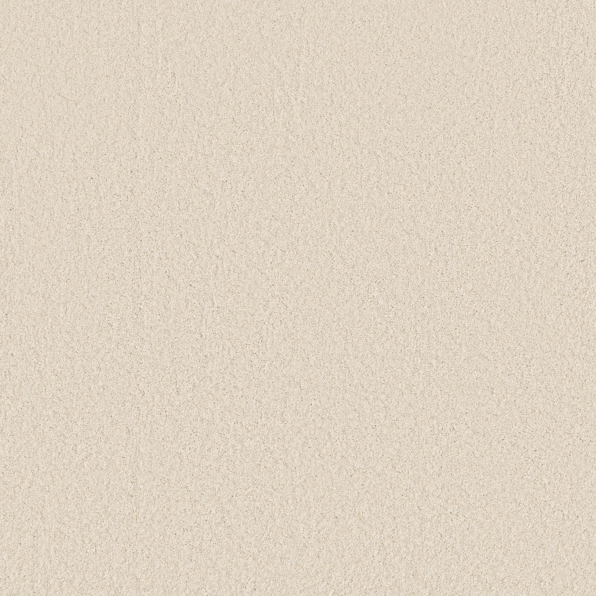 ENCHANTING ANGORA MAIN