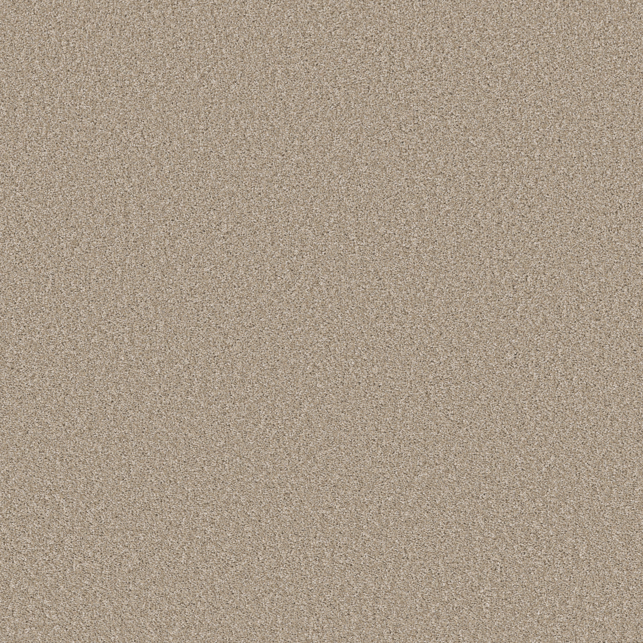 AFFIRMATION II LOFT LIGHT MAIN