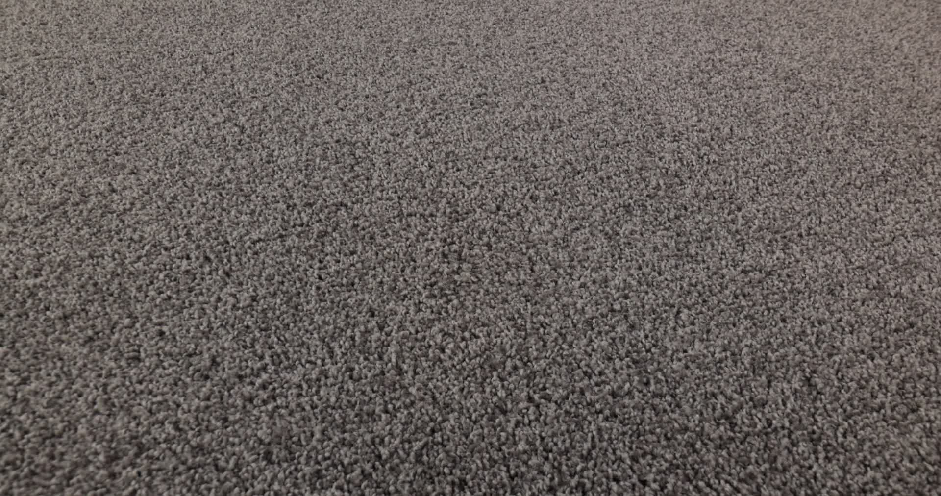 COZY HARBOR I WELL TRAVELED 360PROD