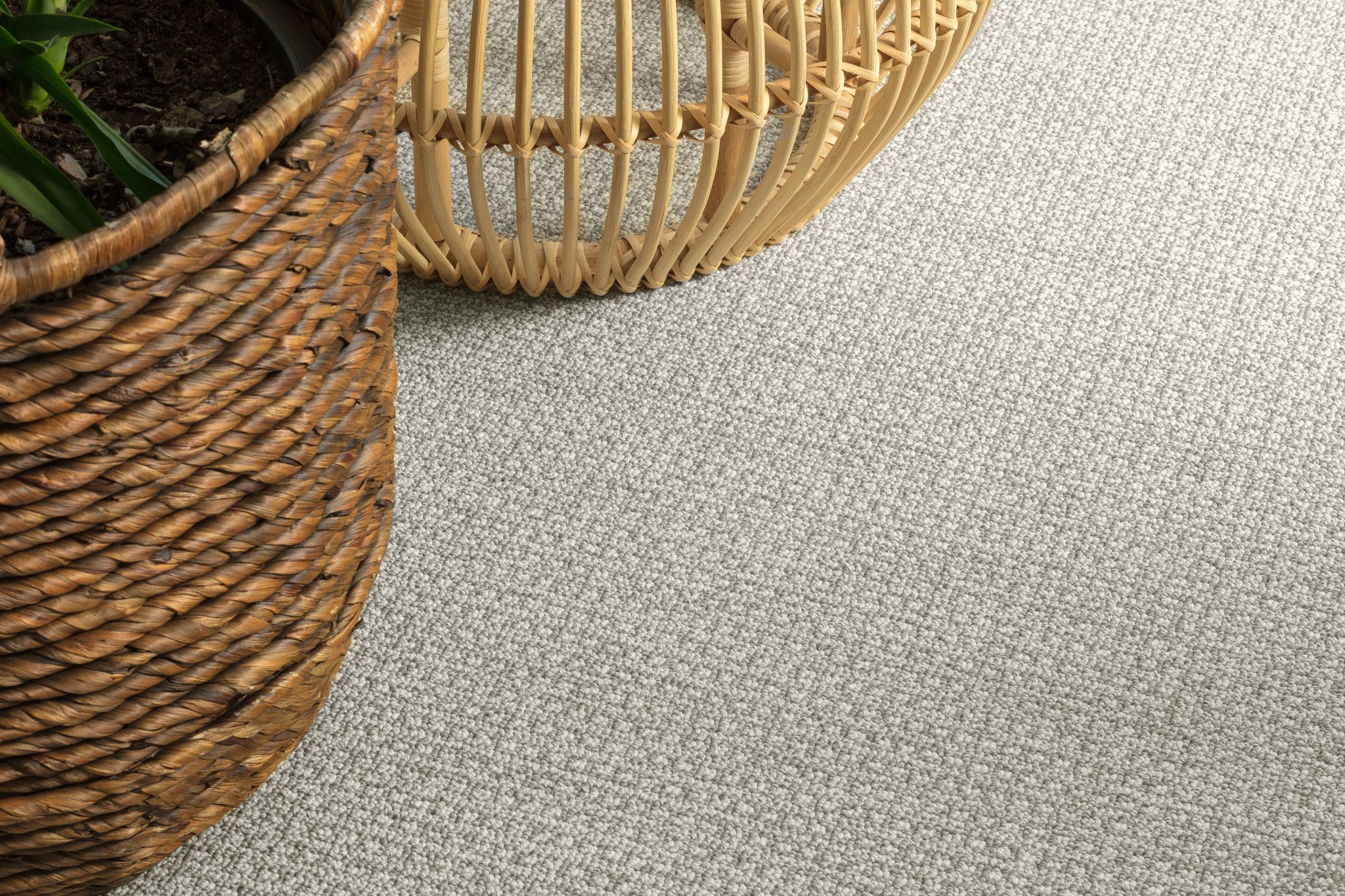 Victorious Plus Pad - St. Jude (Extends Shaw Carpet Warranty 10 Years) by  Shaw Carpet