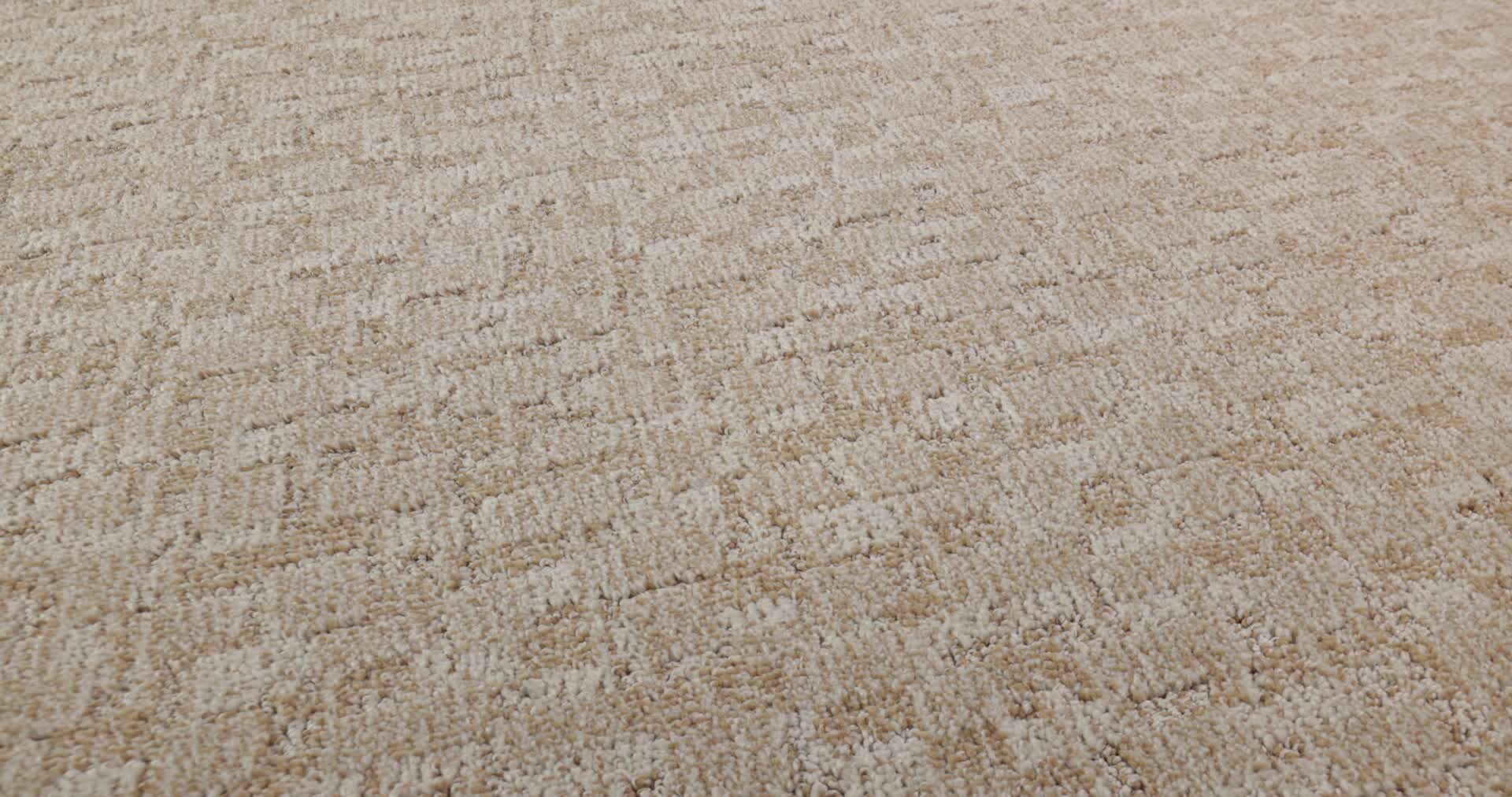 PAW-TAY OLD COUNTRY 360PROD