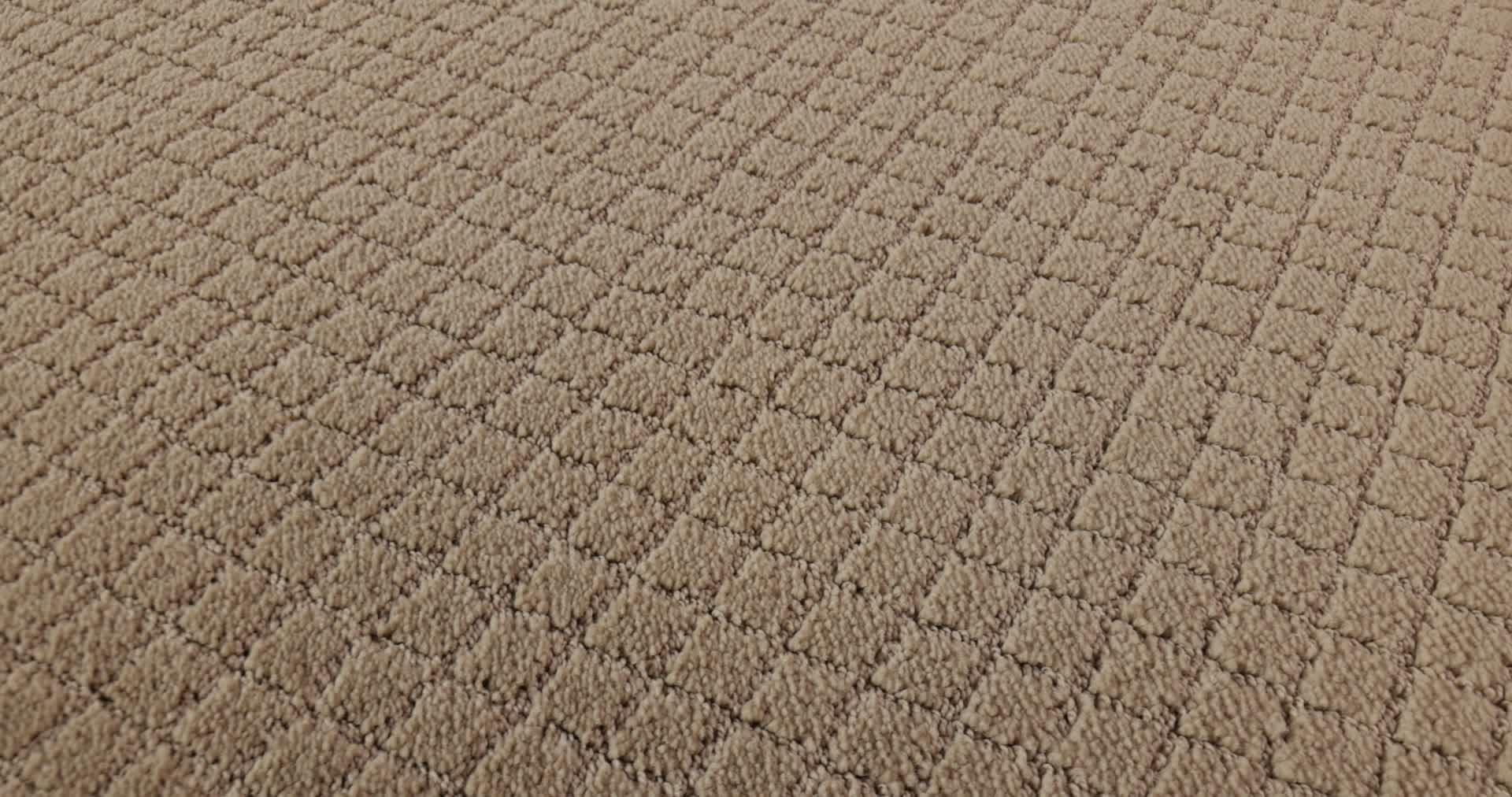 PAWNACHE MONTEREY 360PROD