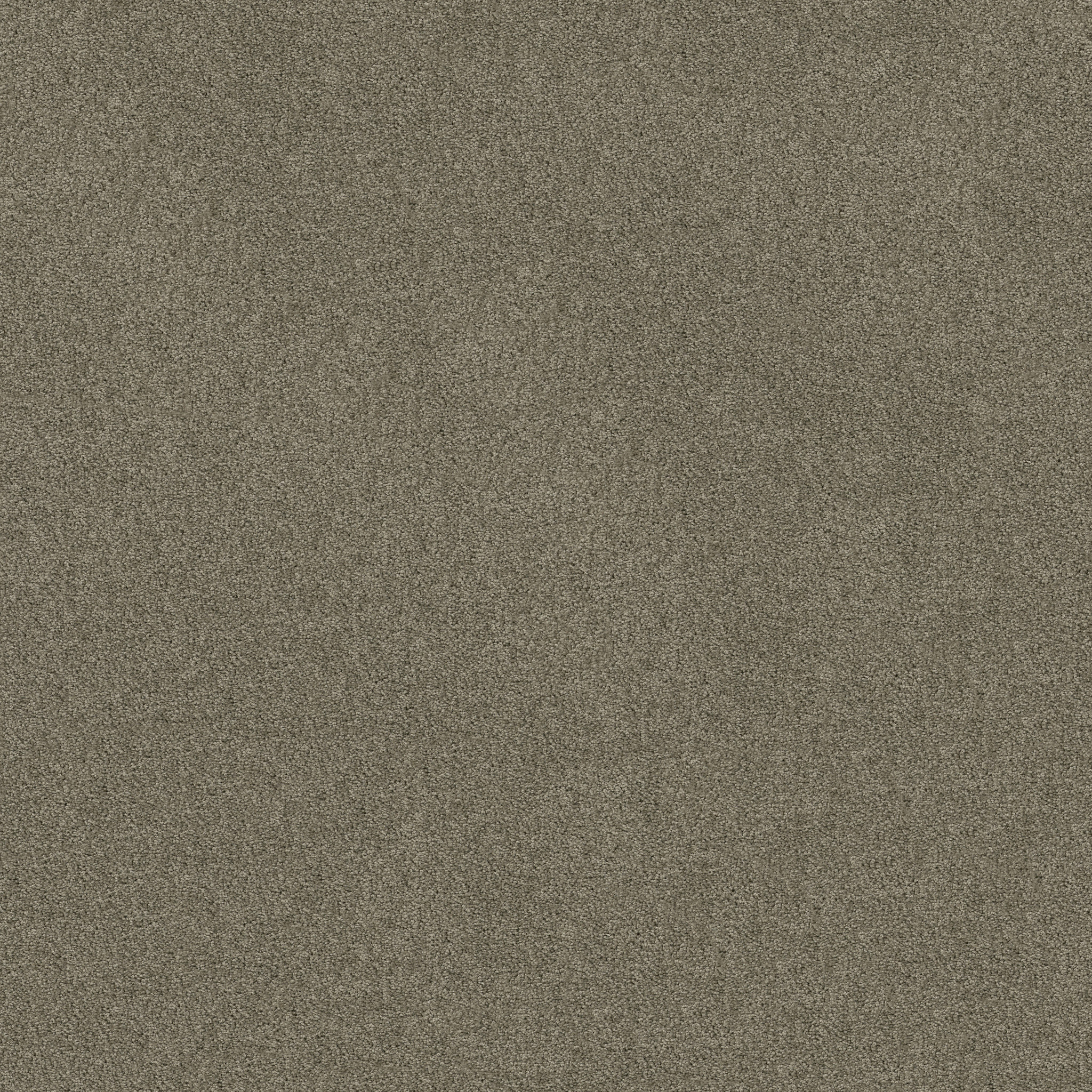 DREAMS I WILD DOVE MAIN