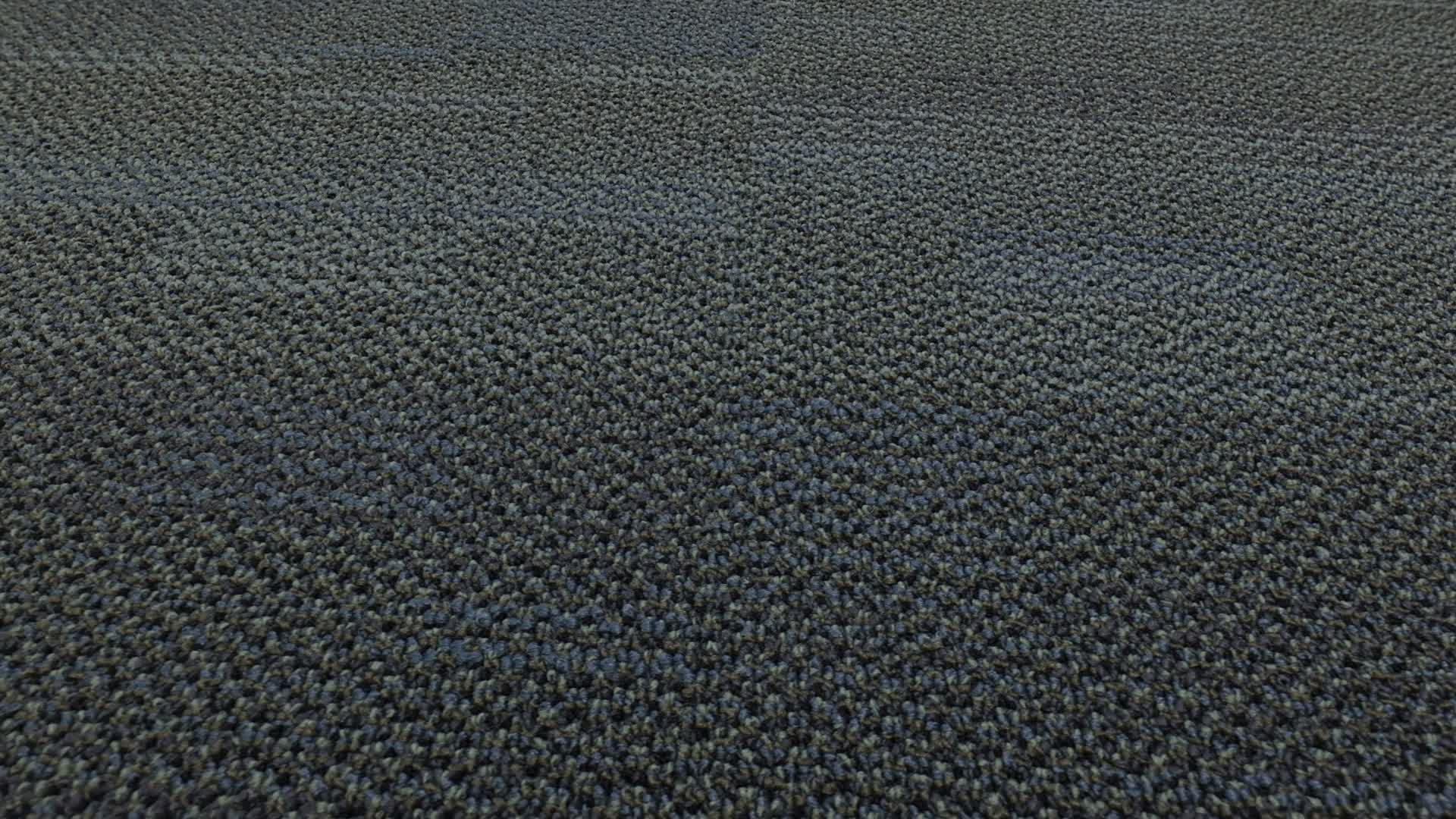 Captivate Tile Palm Tree Rotation360