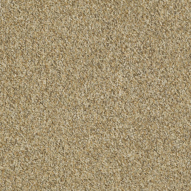 Franchise II 28 Broadloom Carpet in Bedrock color, 12ft wide, made from 100% nylon