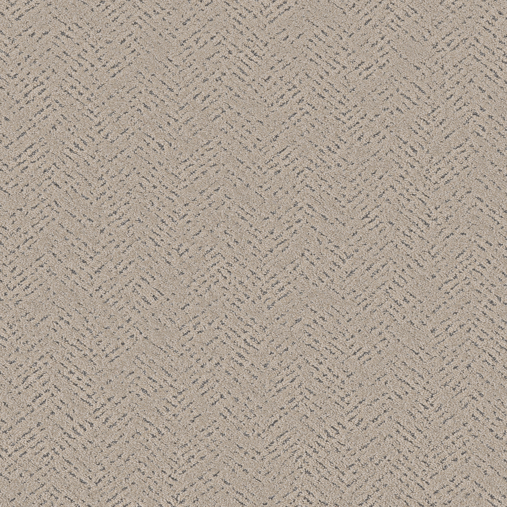 FAVOURED PATH WARM LIGHT MAIN