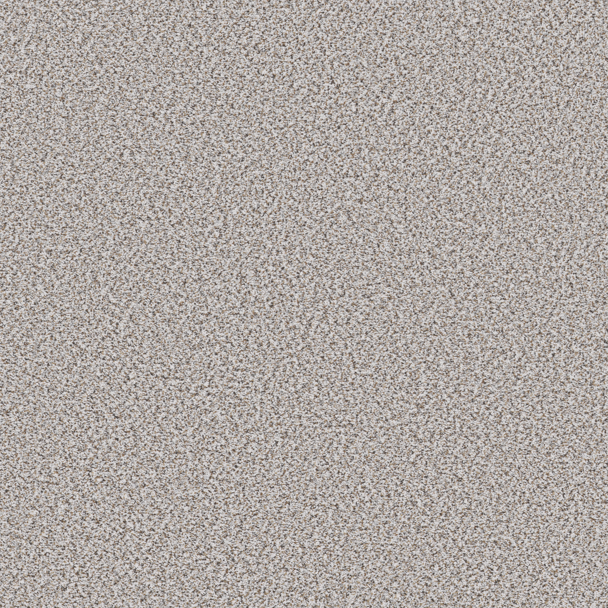 Flagship Carpets FA1005-S24SF Tappeto Educativo Forest Floor – 24 Pezzi, Multicolore, Per Scuole E Asili, Antimacchia E Antiodore