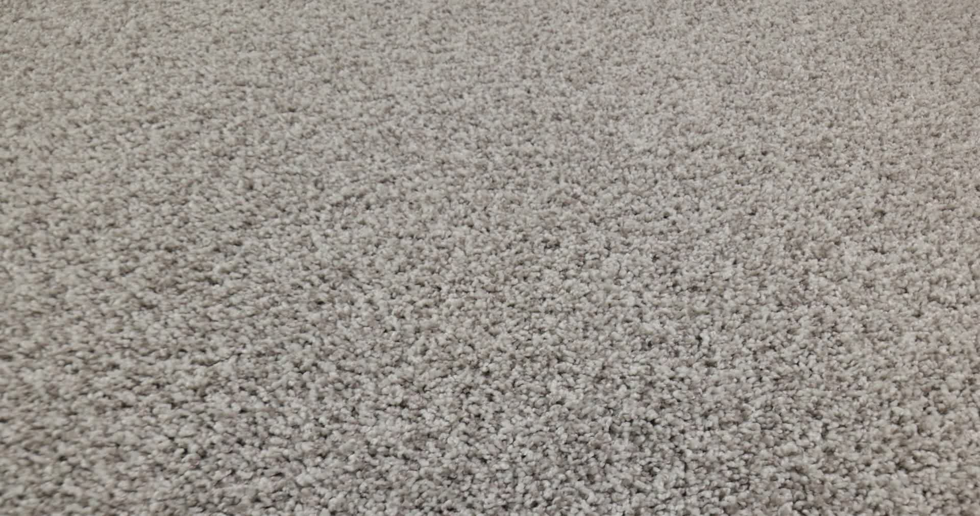 Renewed Energy Ii - Snow Bound Carpet | Shaw Floors