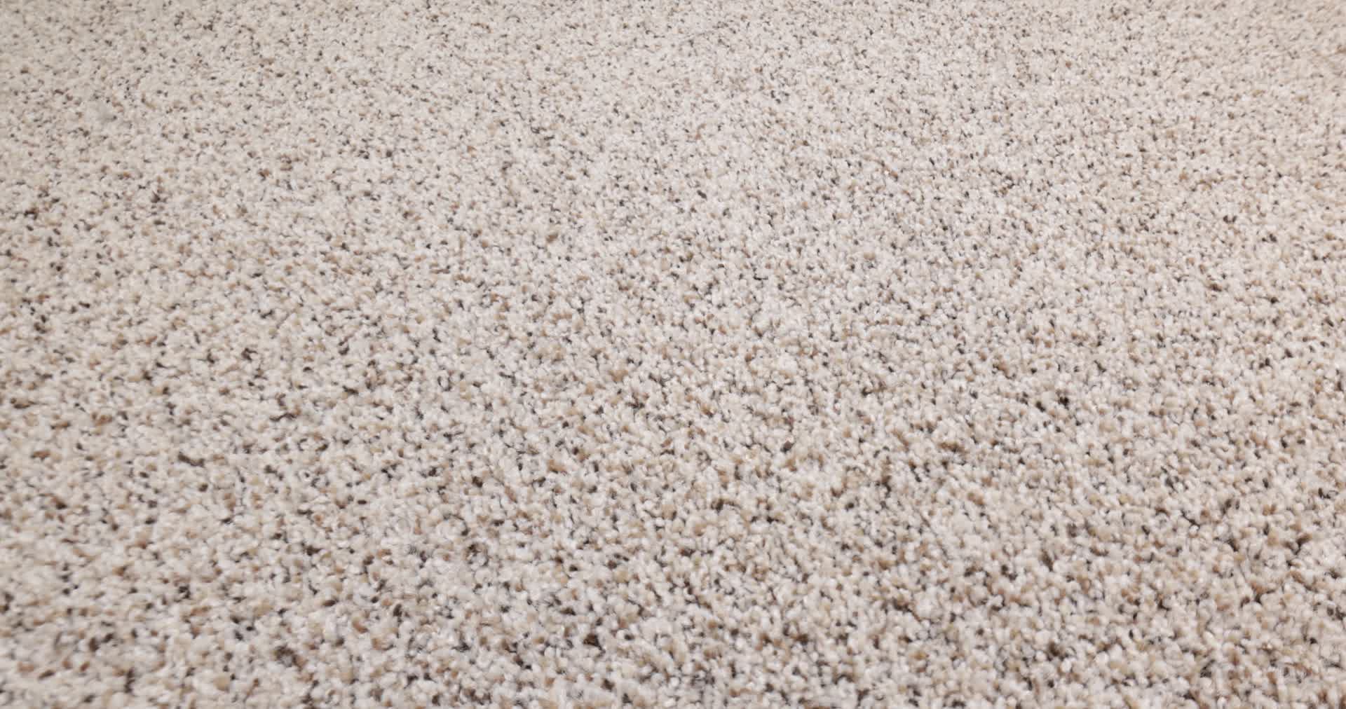 STRANDS OF NATURE II HORIZON 360PROD