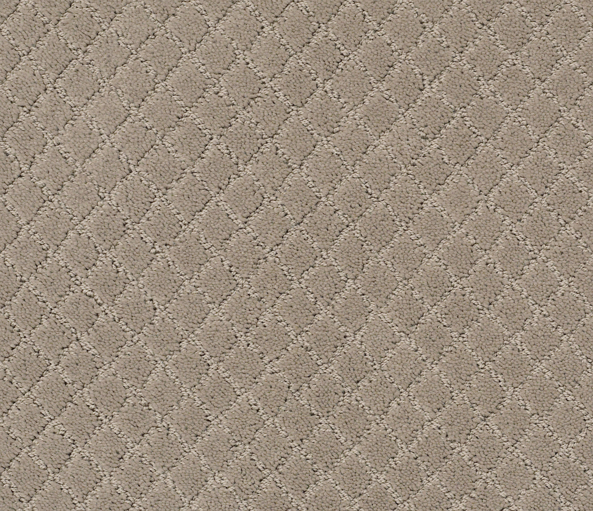 PAWNACHE MOCHA CREAM MAIN