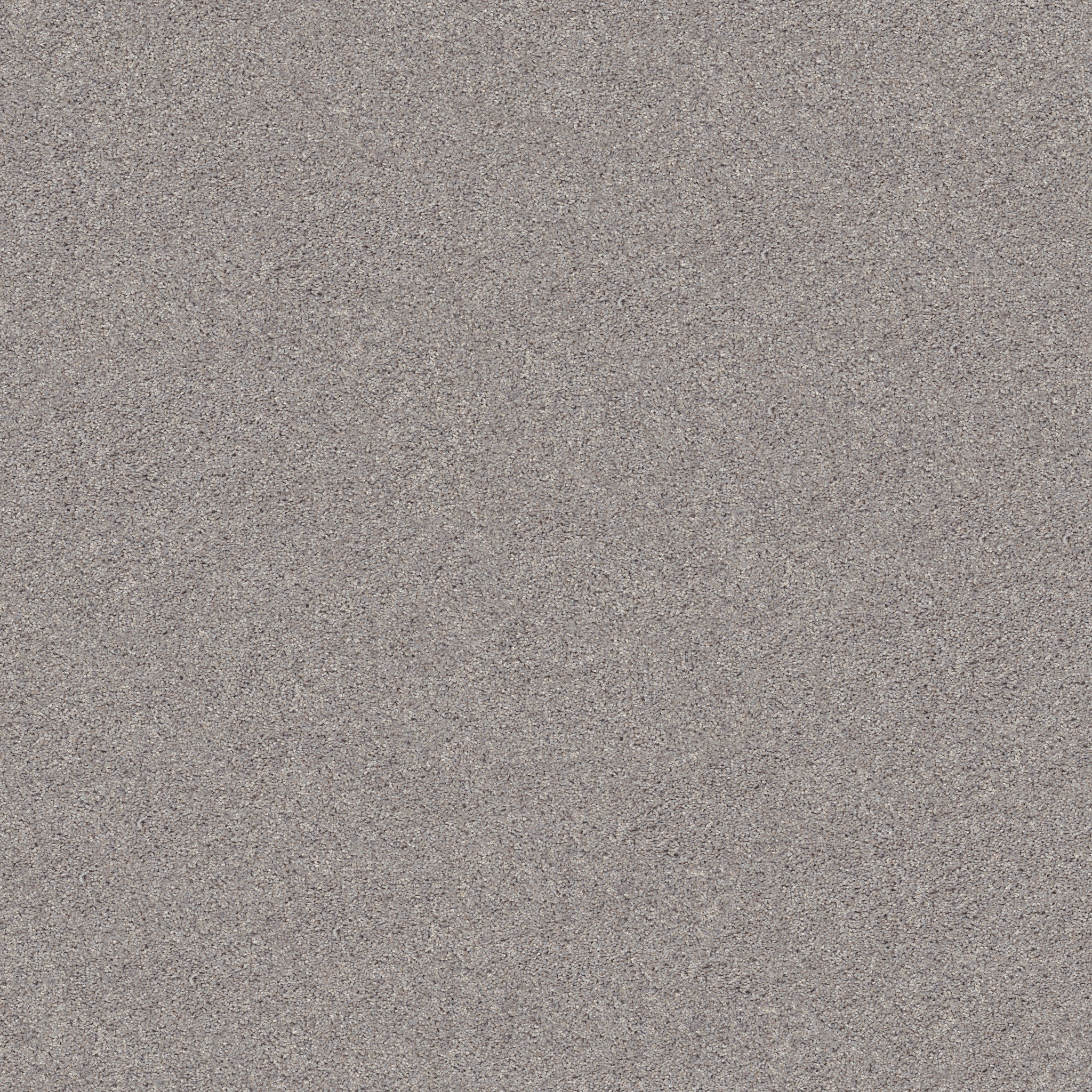 INLET SHORE I 12' BRUSHED NICKEL MAIN