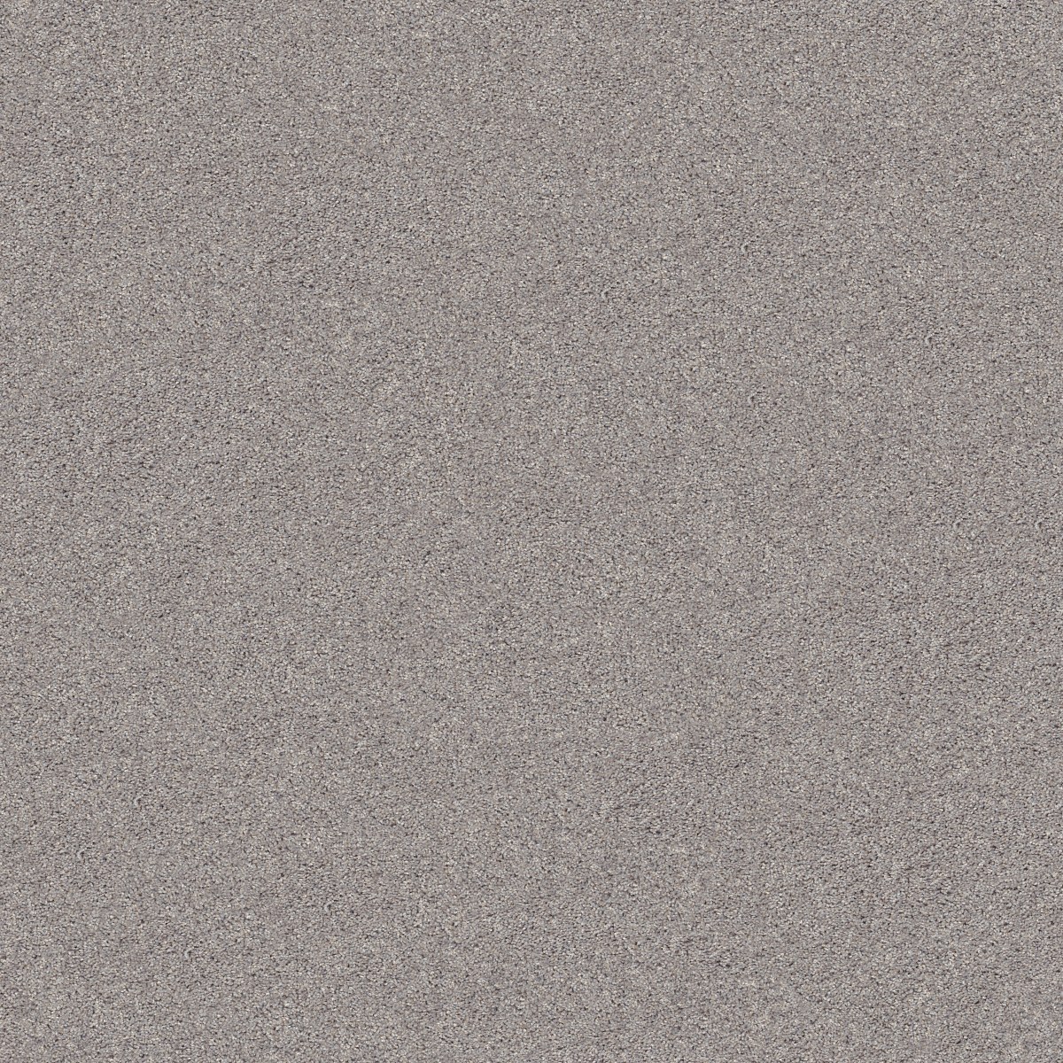 Shaw Floors INLET SHORE I 12' — BRUSHED NICKEL