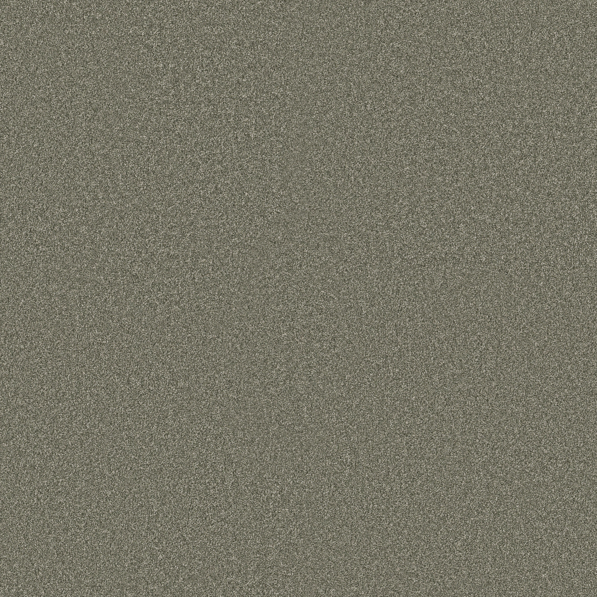 CLASSIC TONE OLIVE TREE MAIN